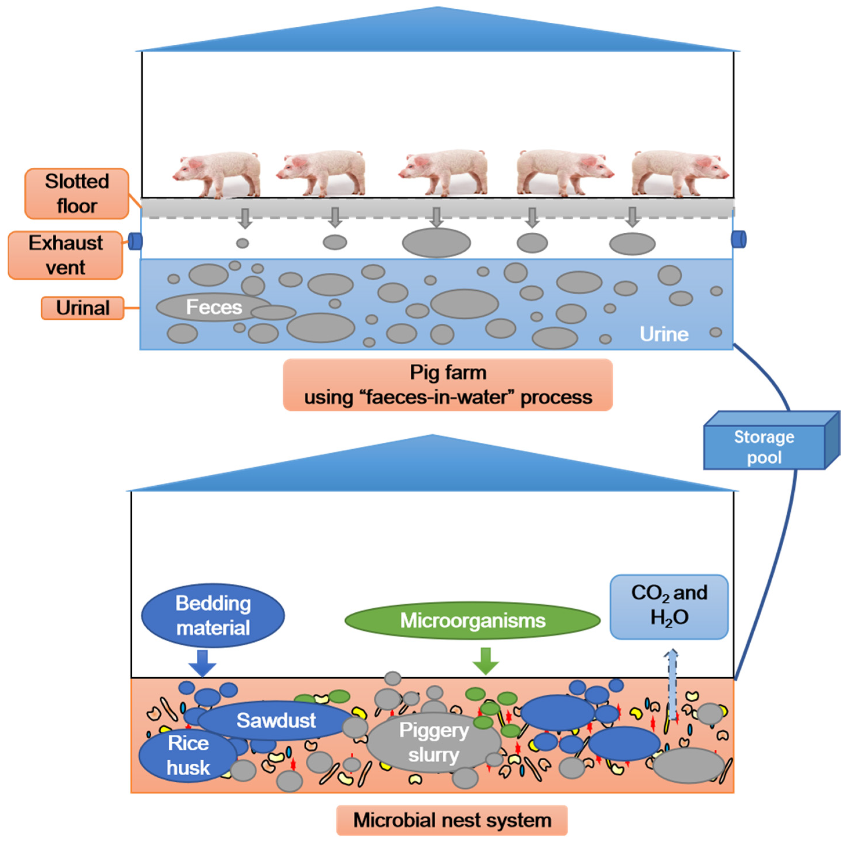 Microorganisms 13 00685 g001