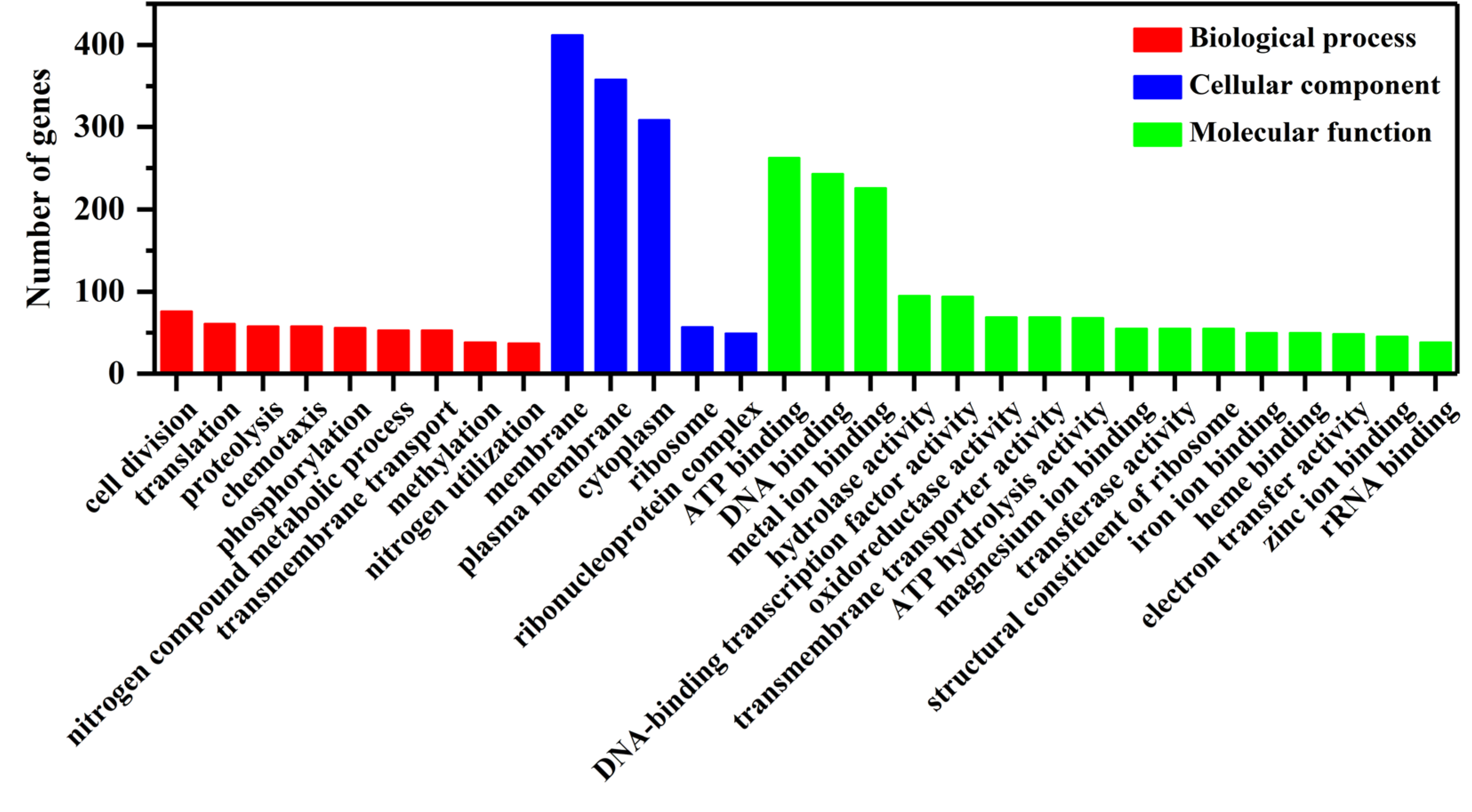 Microorganisms 13 00687 g006
