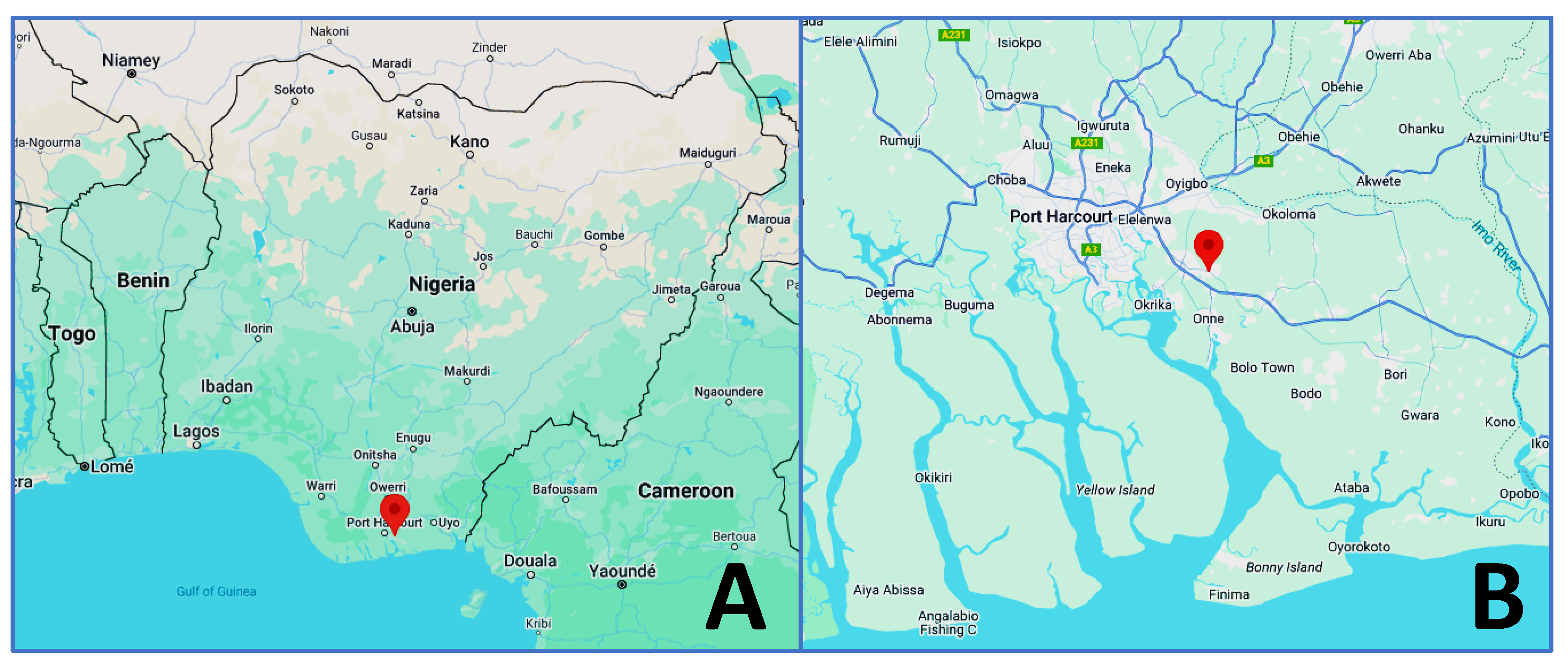 Microorganisms 13 00688 g001