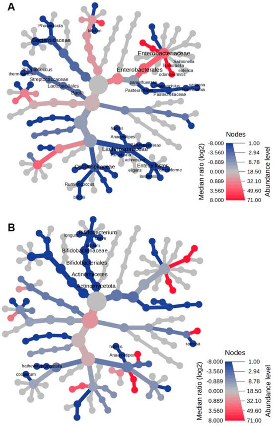 Microorganisms 13 00691 g003