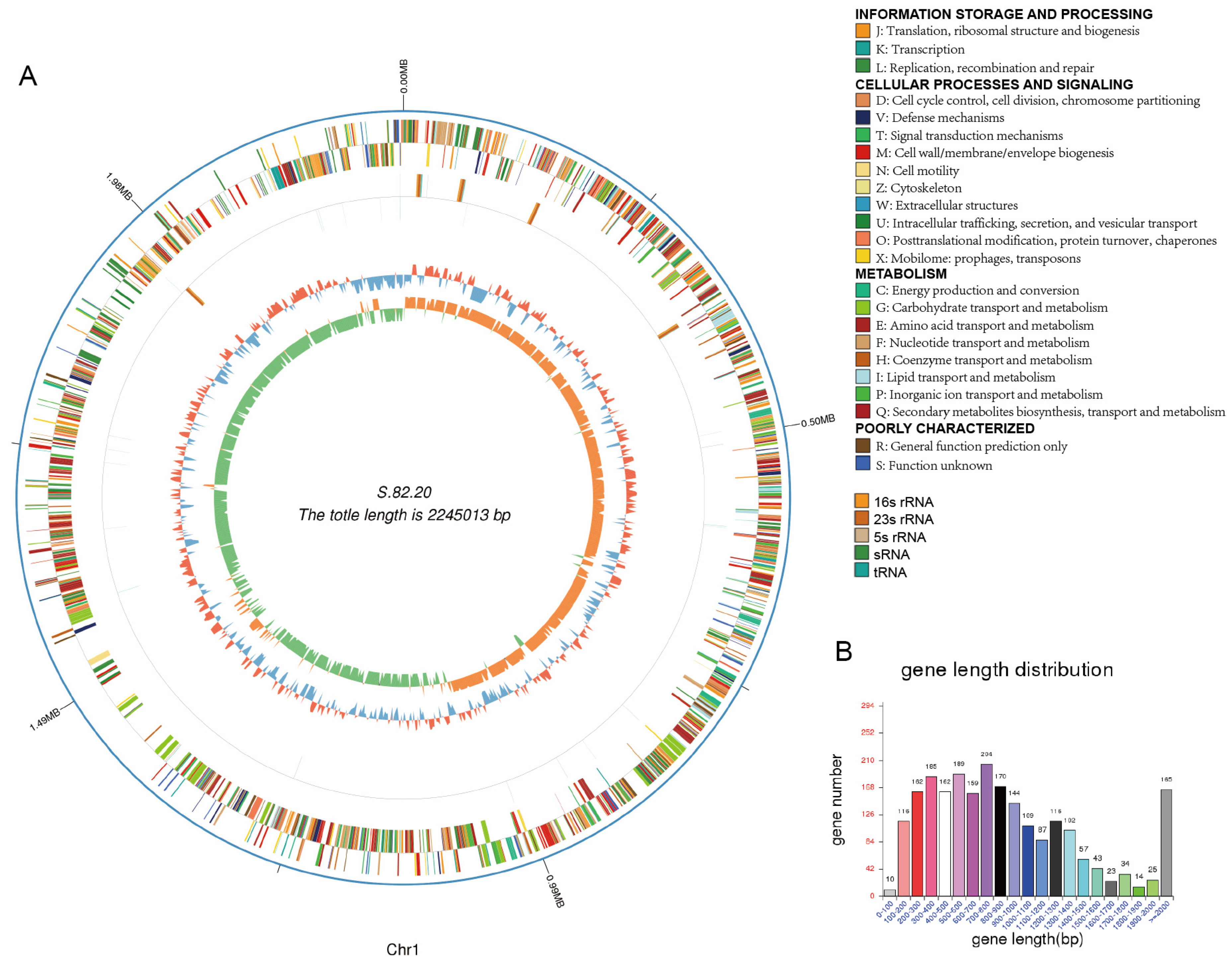 Microorganisms 13 00694 g004