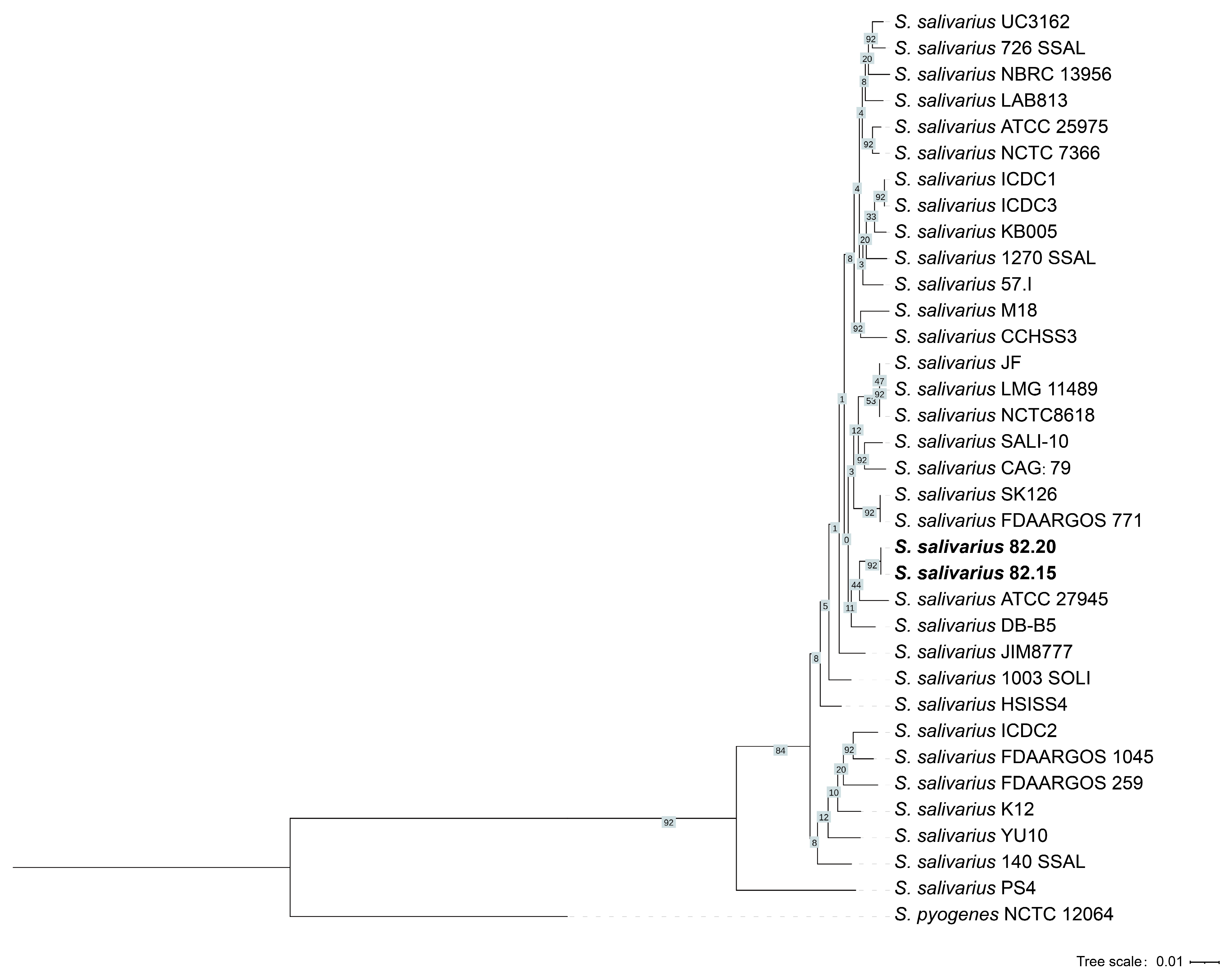 Microorganisms 13 00694 g006