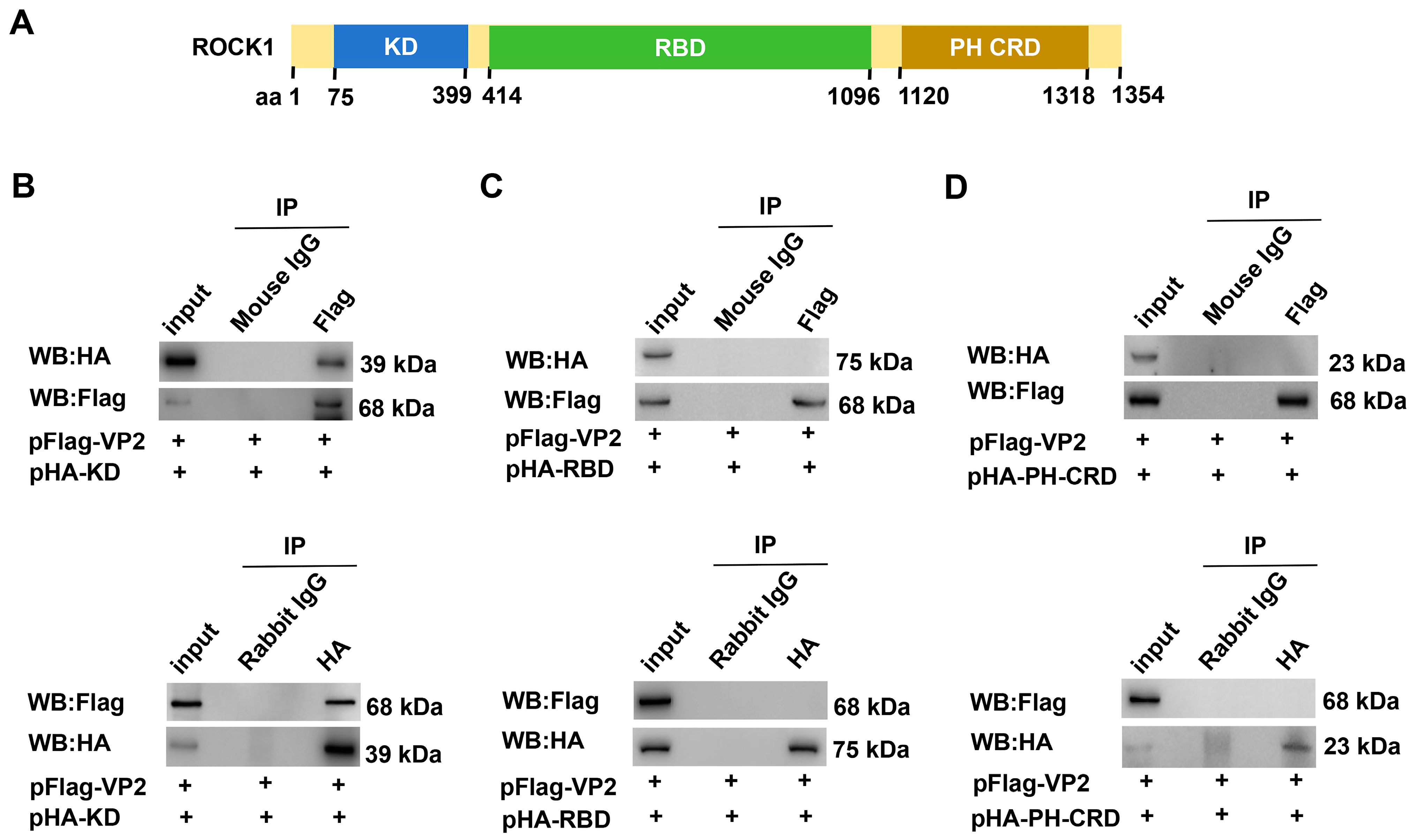 Microorganisms 13 00695 g002