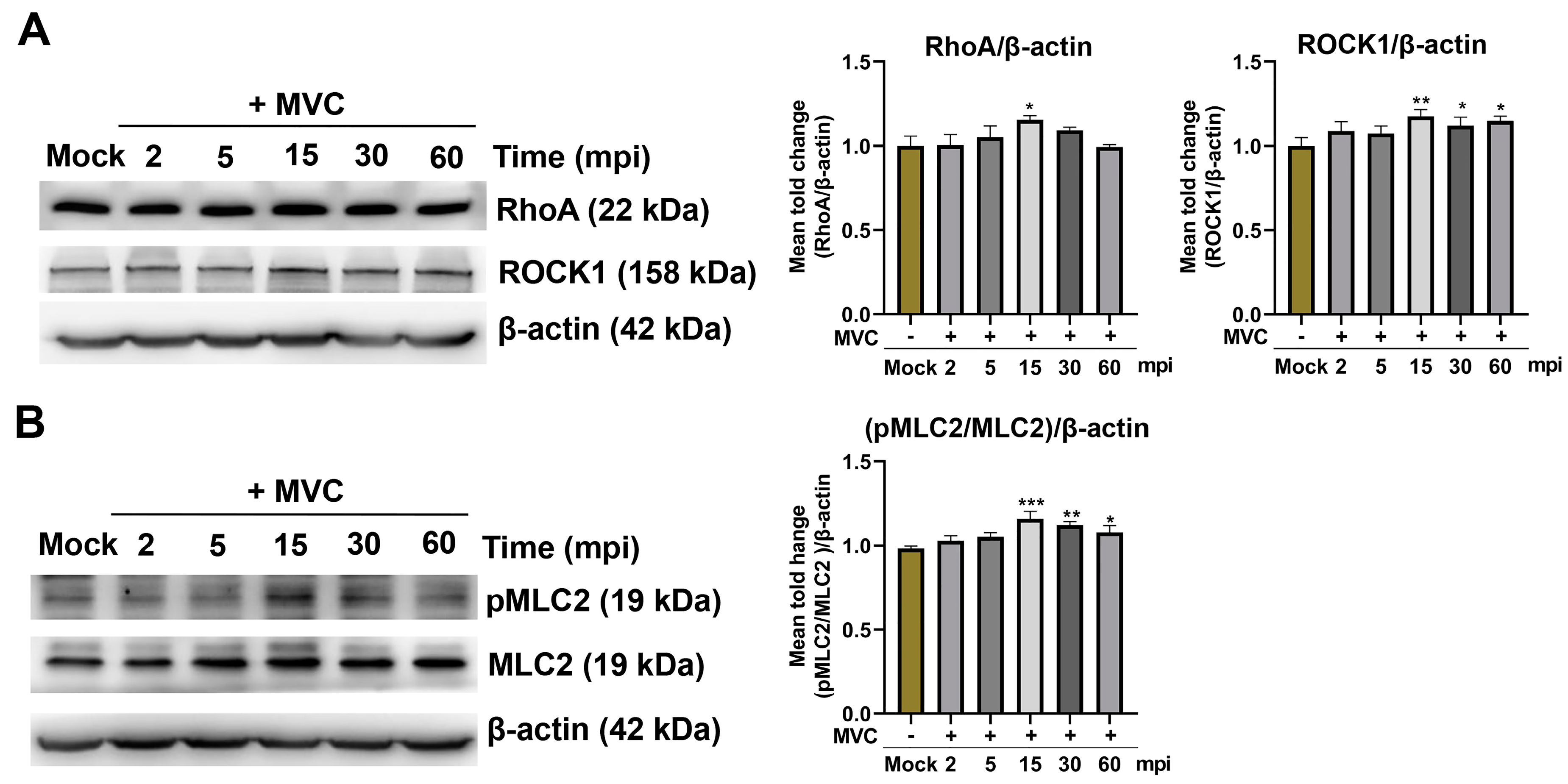 Microorganisms 13 00695 g005