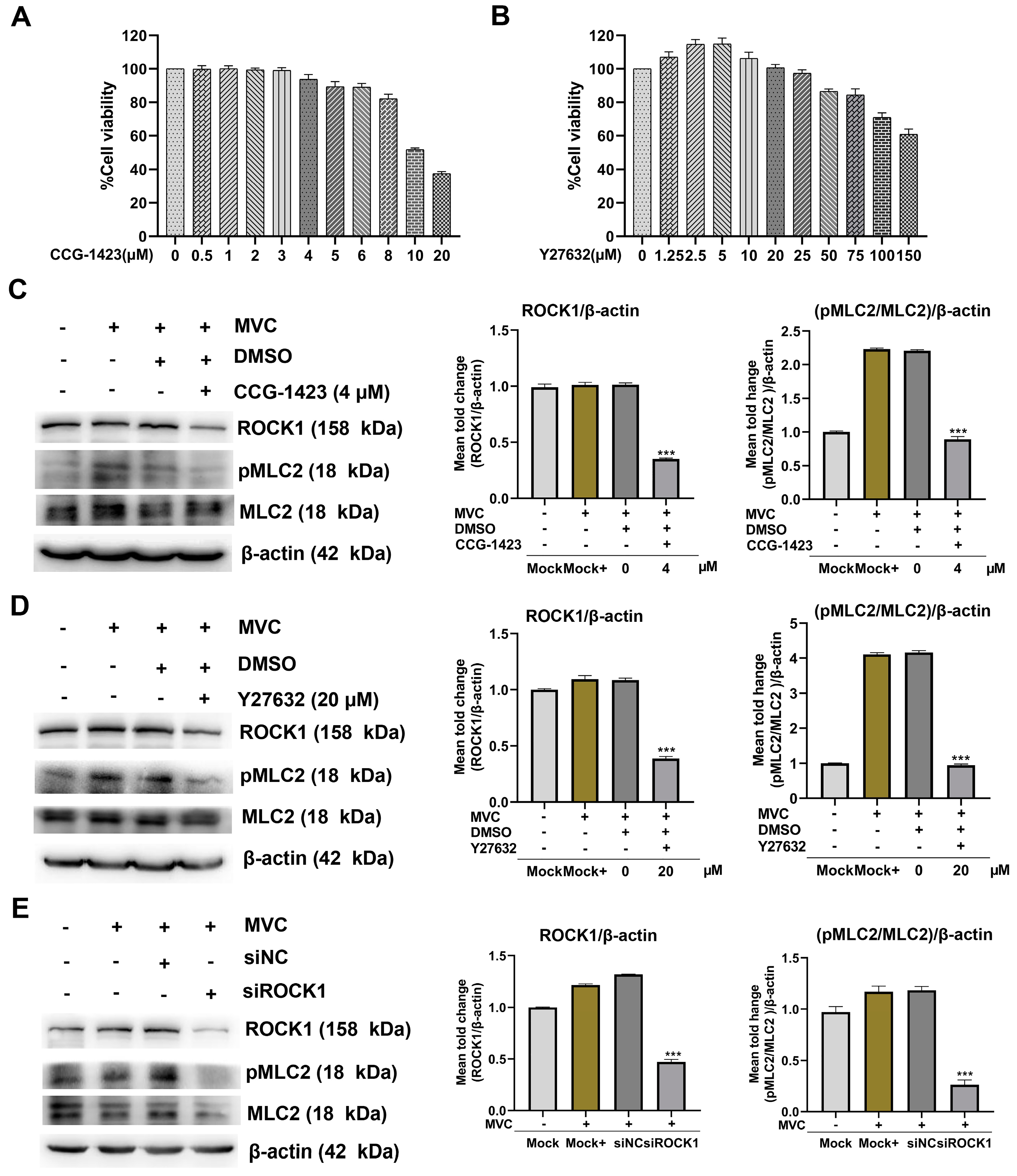 Microorganisms 13 00695 g006