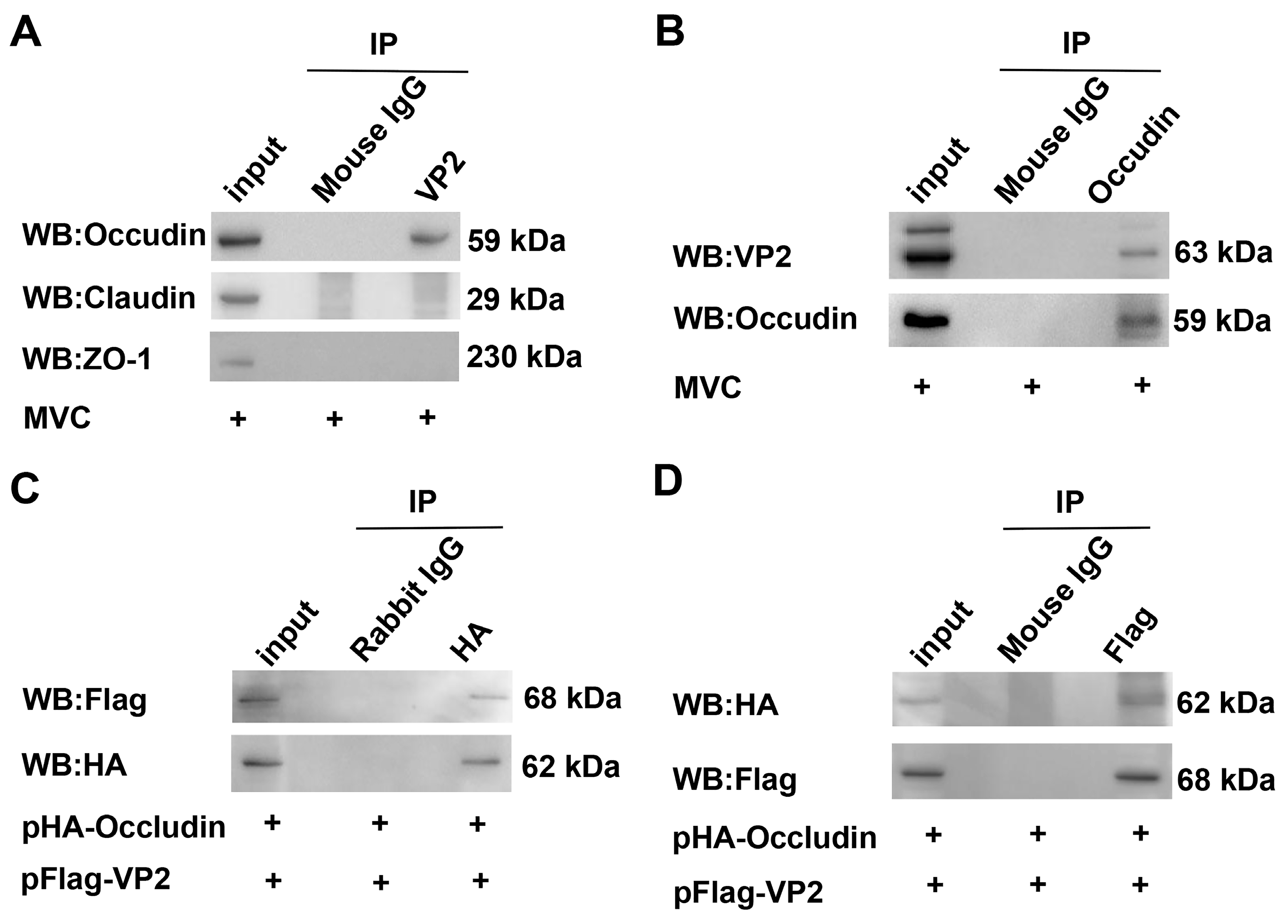 Microorganisms 13 00695 g007