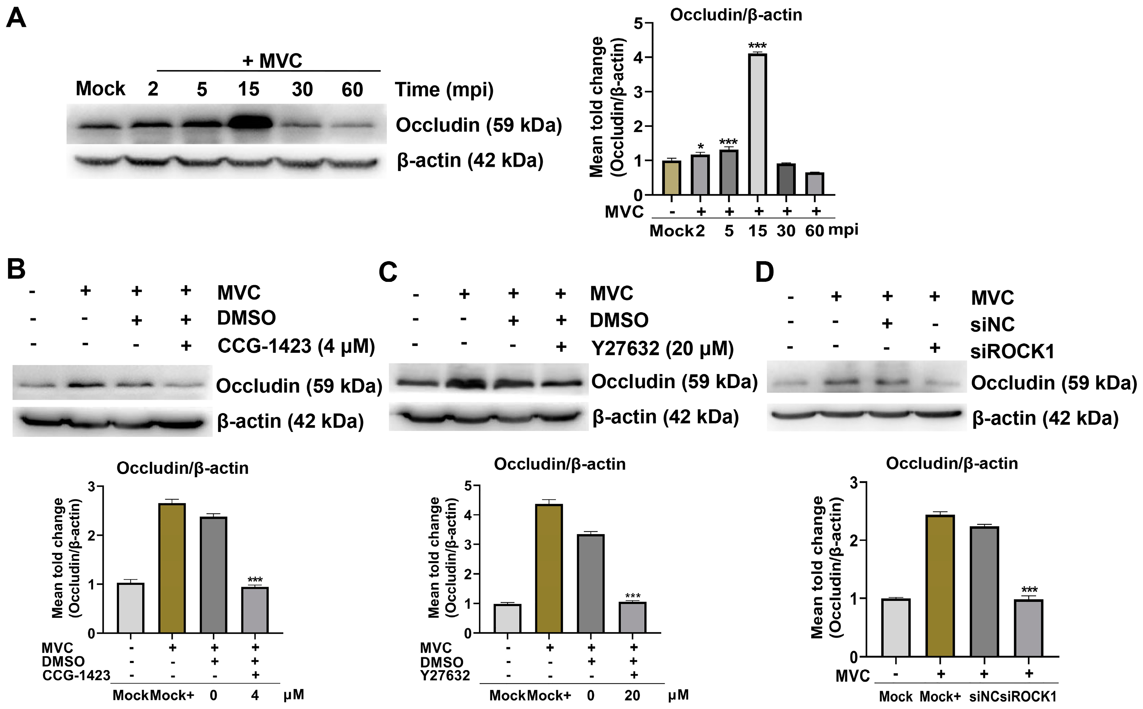 Microorganisms 13 00695 g008