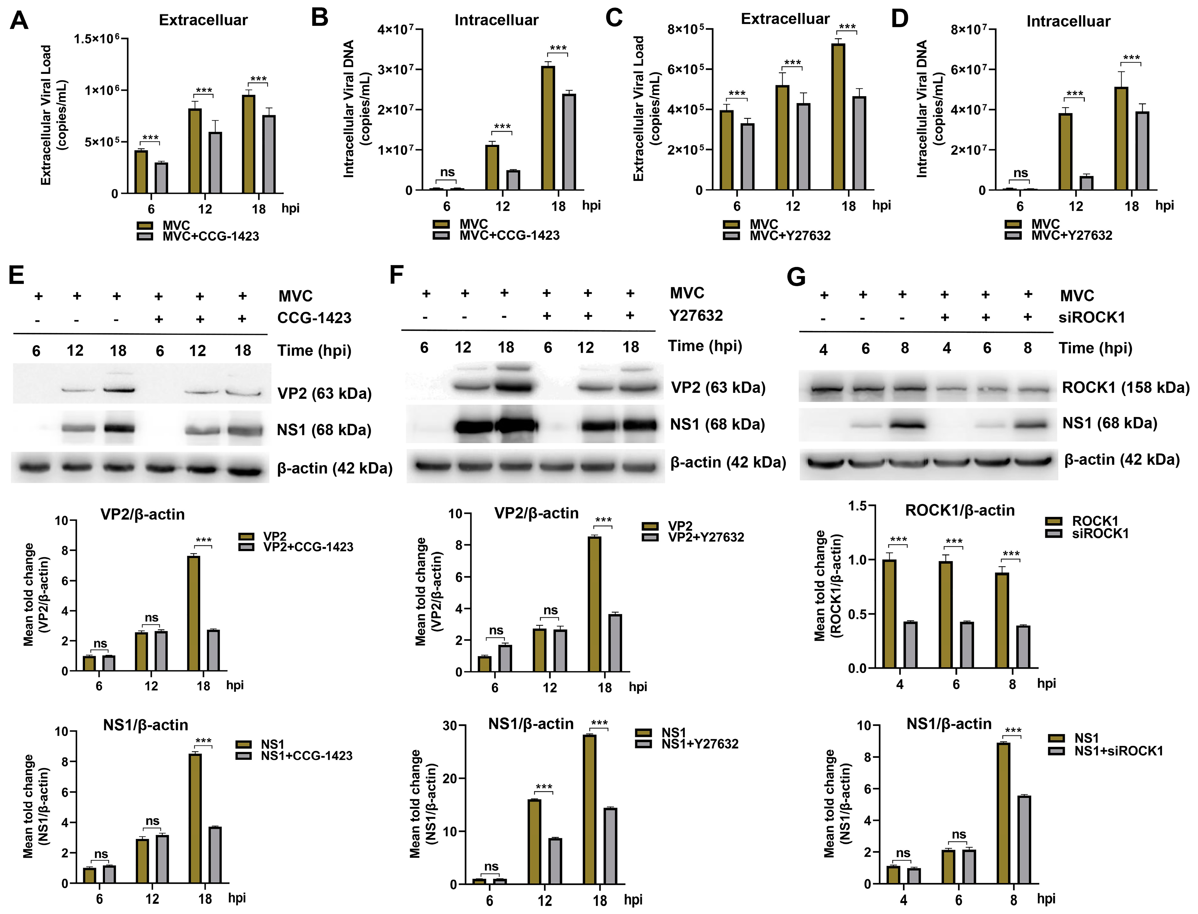 Microorganisms 13 00695 g009