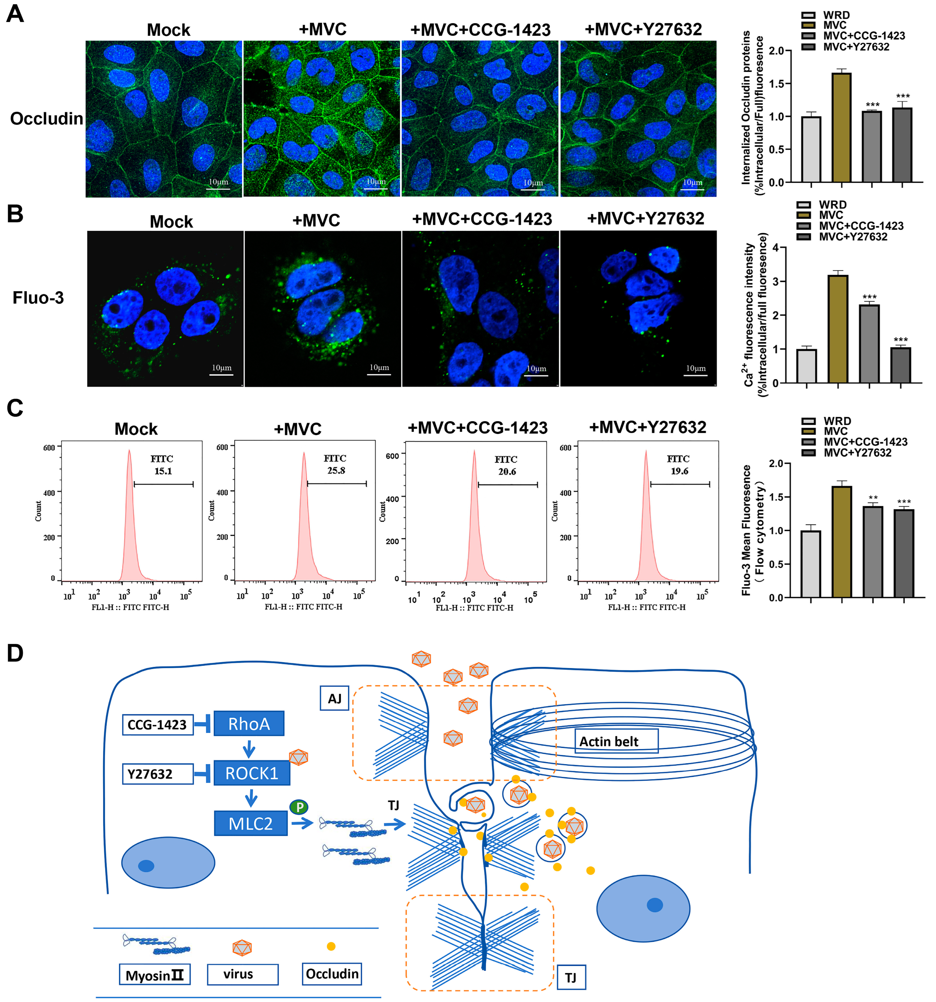 Microorganisms 13 00695 g010