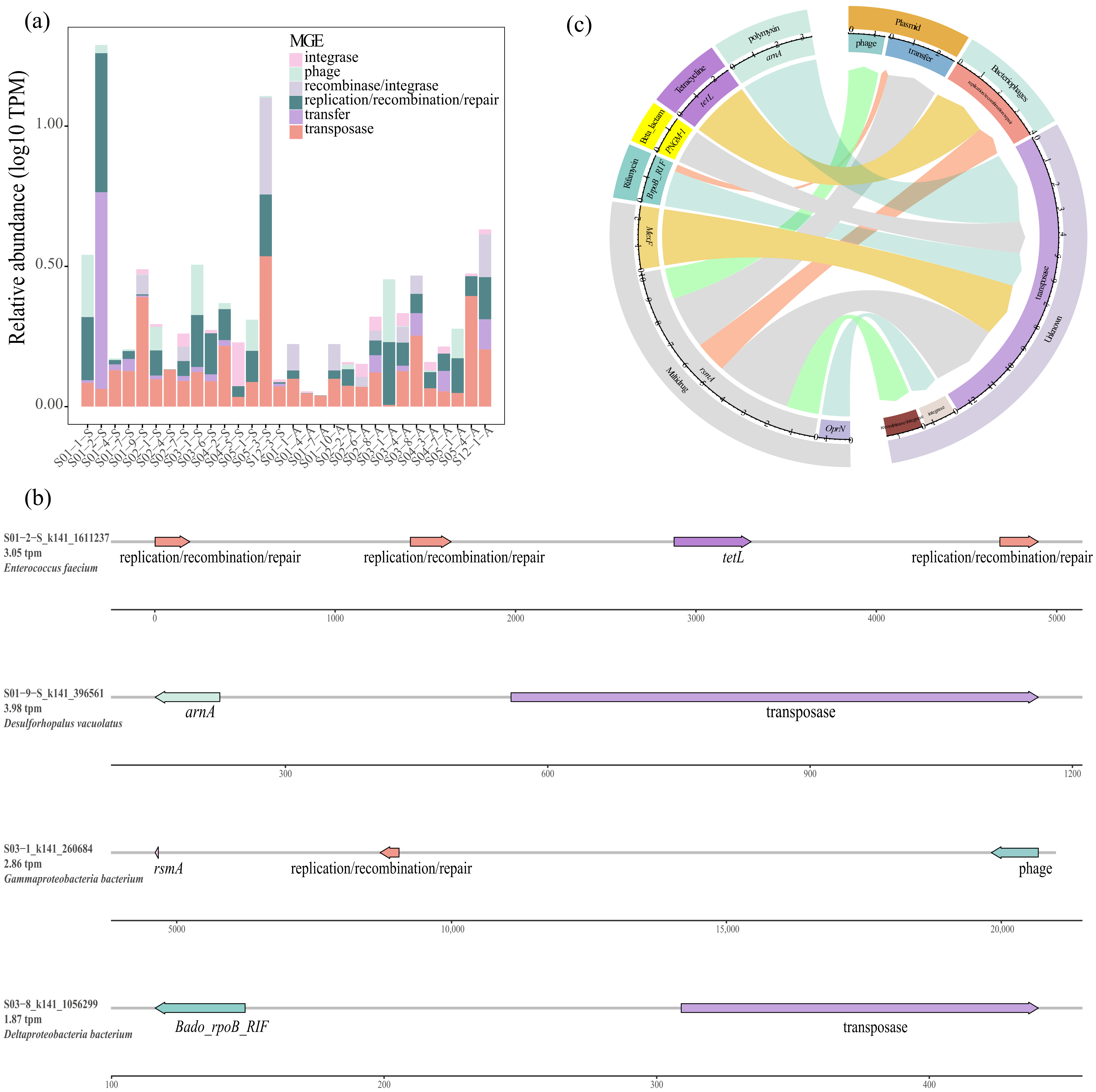 Microorganisms 13 00697 g003