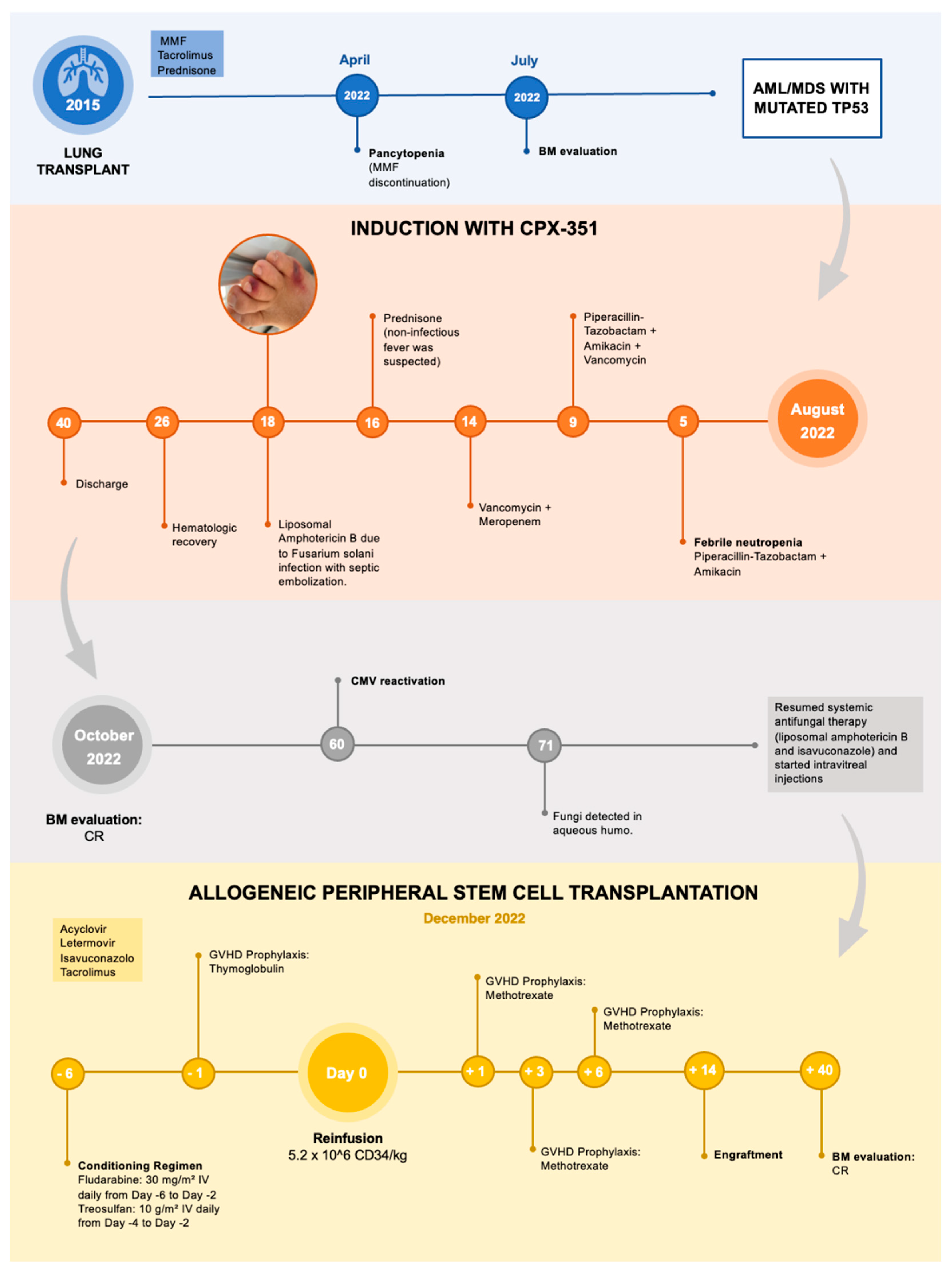 Microorganisms 13 00703 g002