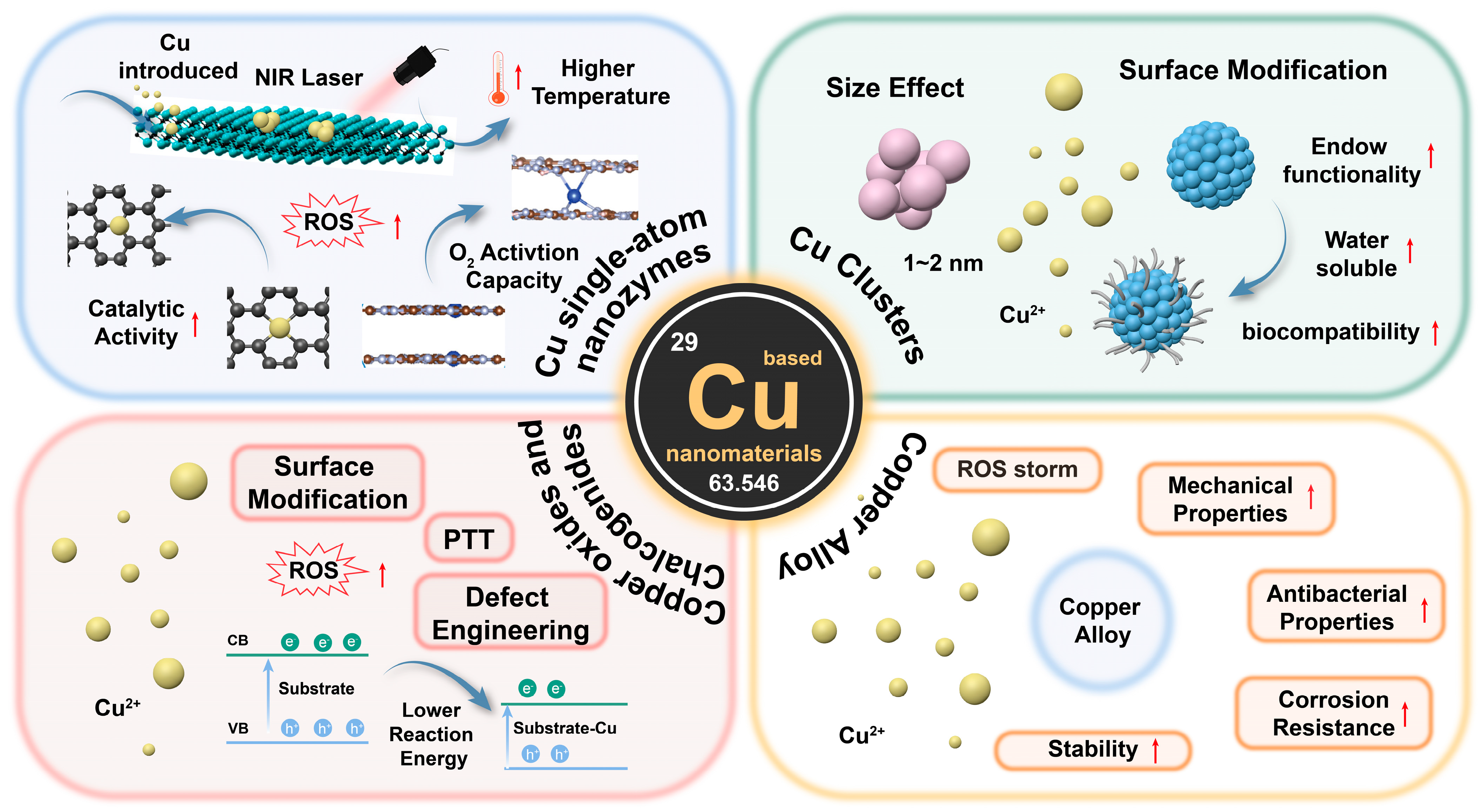 Microorganisms 13 00708 g001