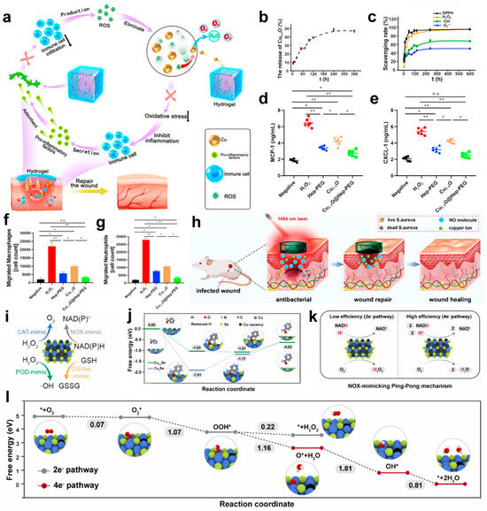 Microorganisms 13 00708 g005
