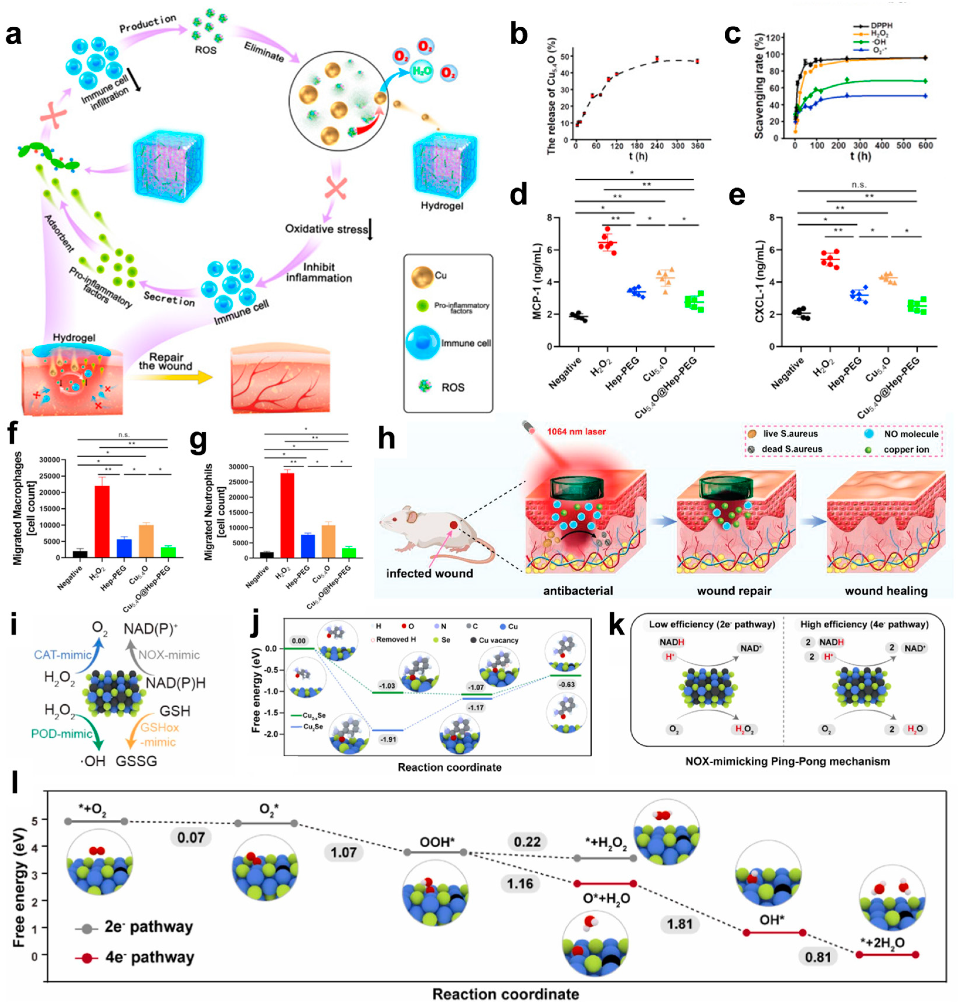 Microorganisms 13 00708 g005