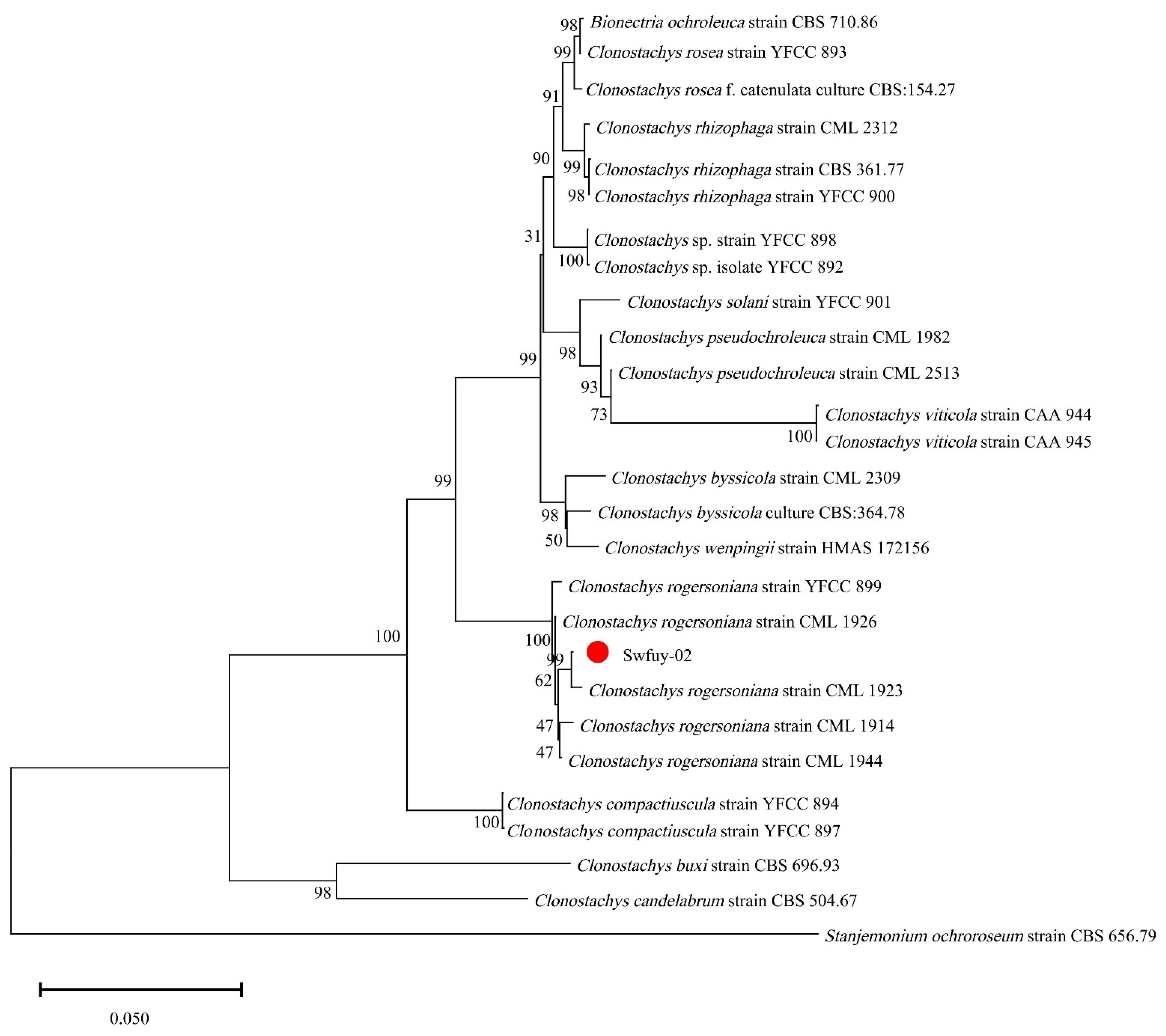 Microorganisms 13 00709 g004