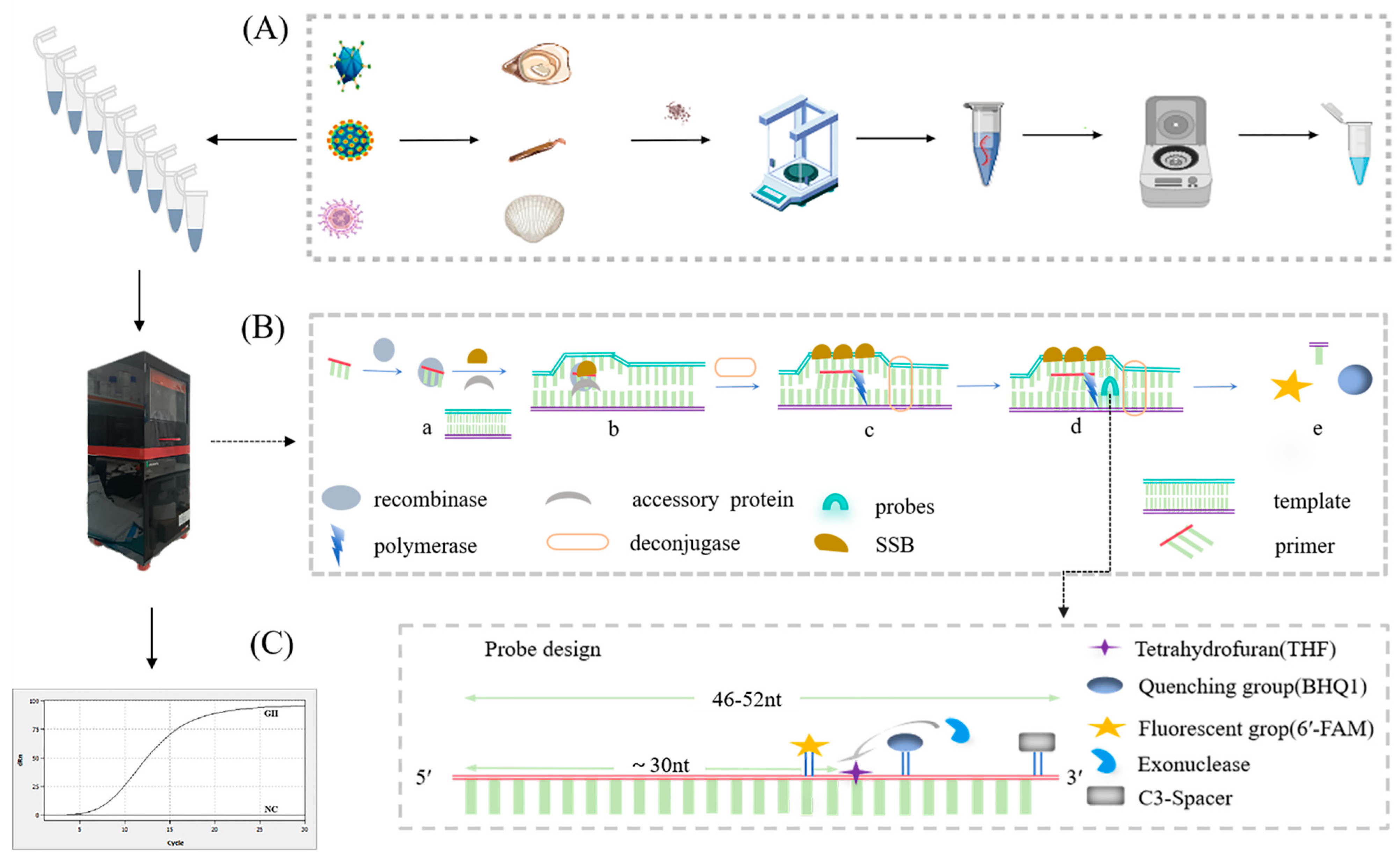 Microorganisms 13 00712 g001