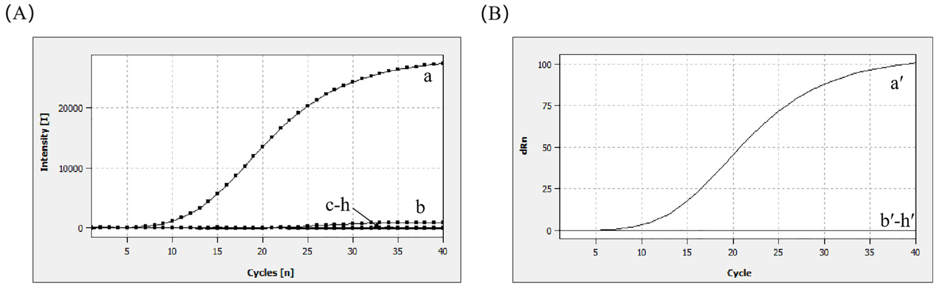 Microorganisms 13 00712 g003