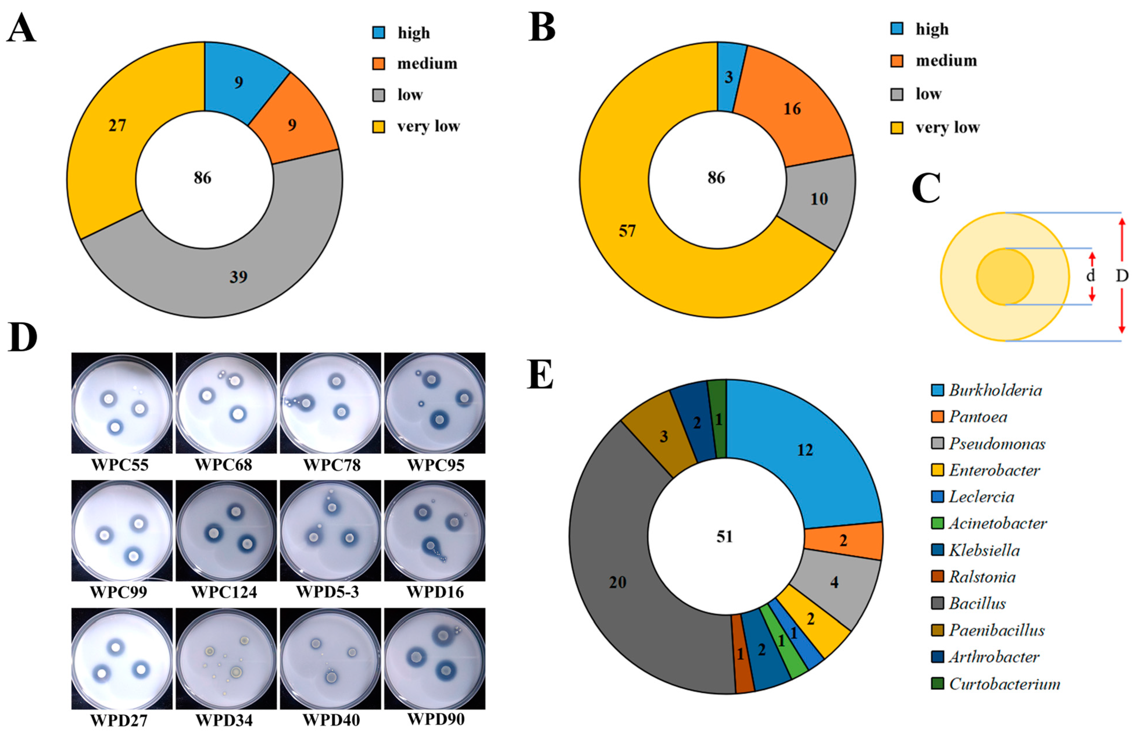 Microorganisms 13 00718 g001
