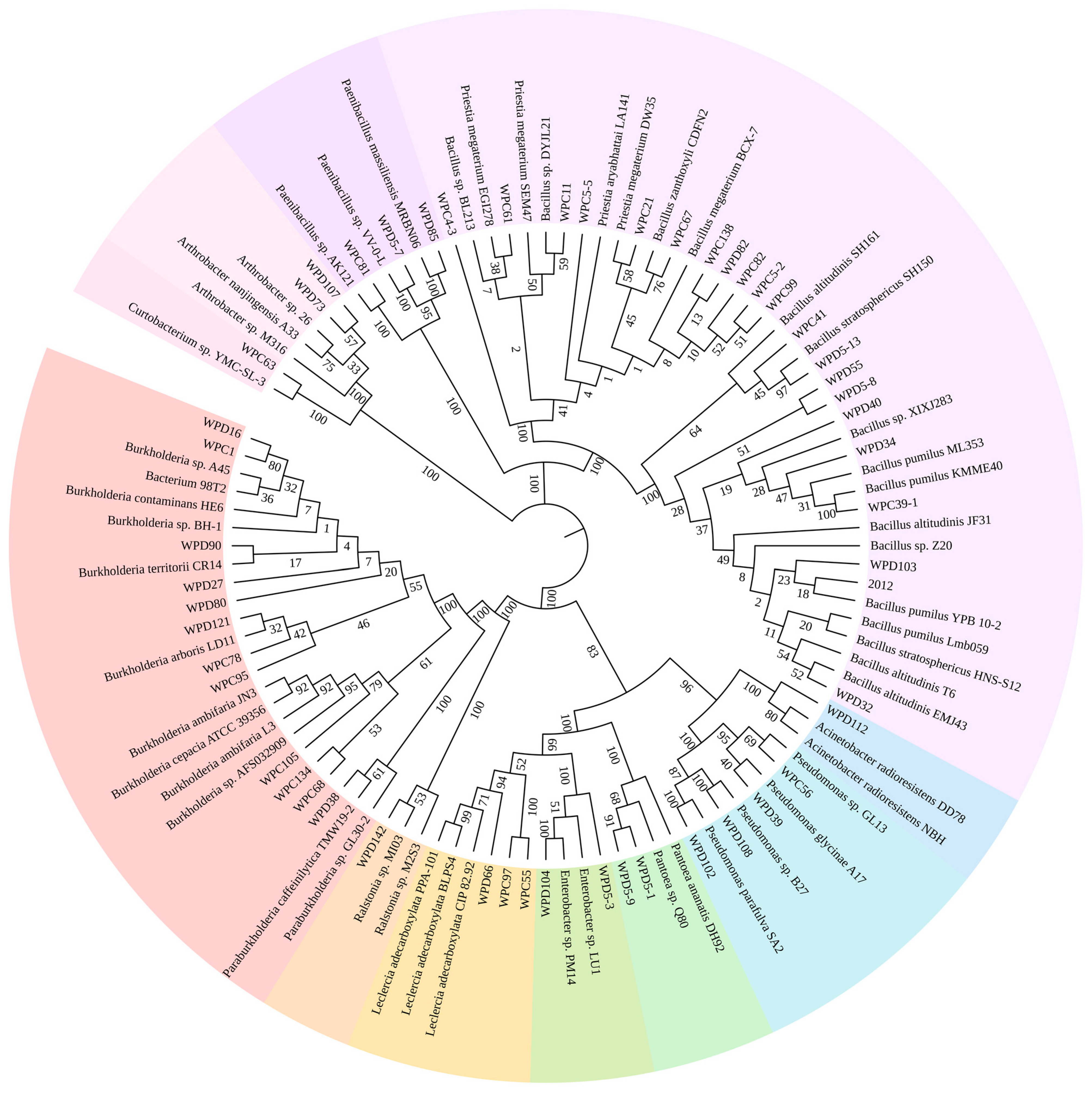 Microorganisms 13 00718 g002