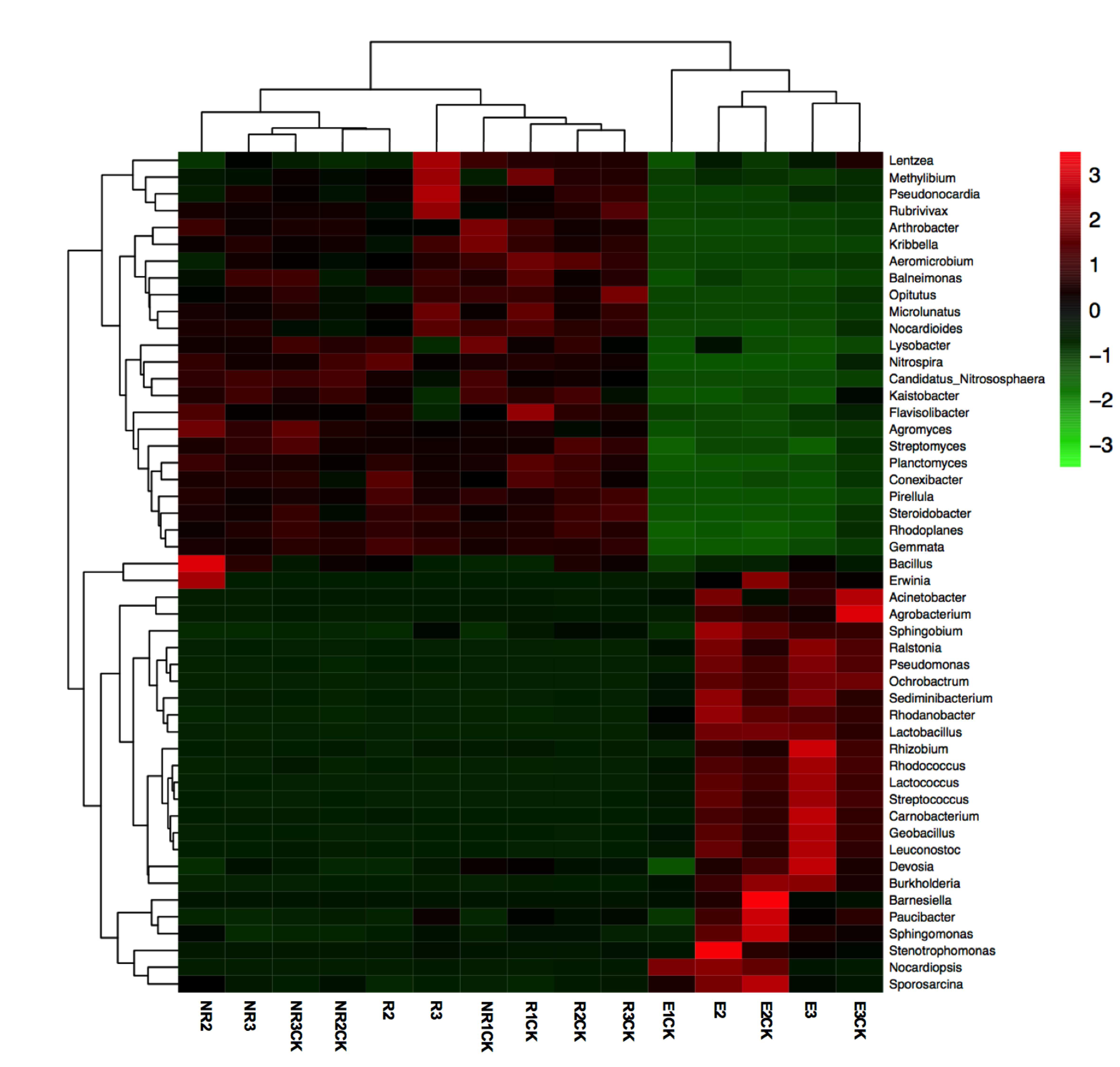 Microorganisms 13 00728 g004