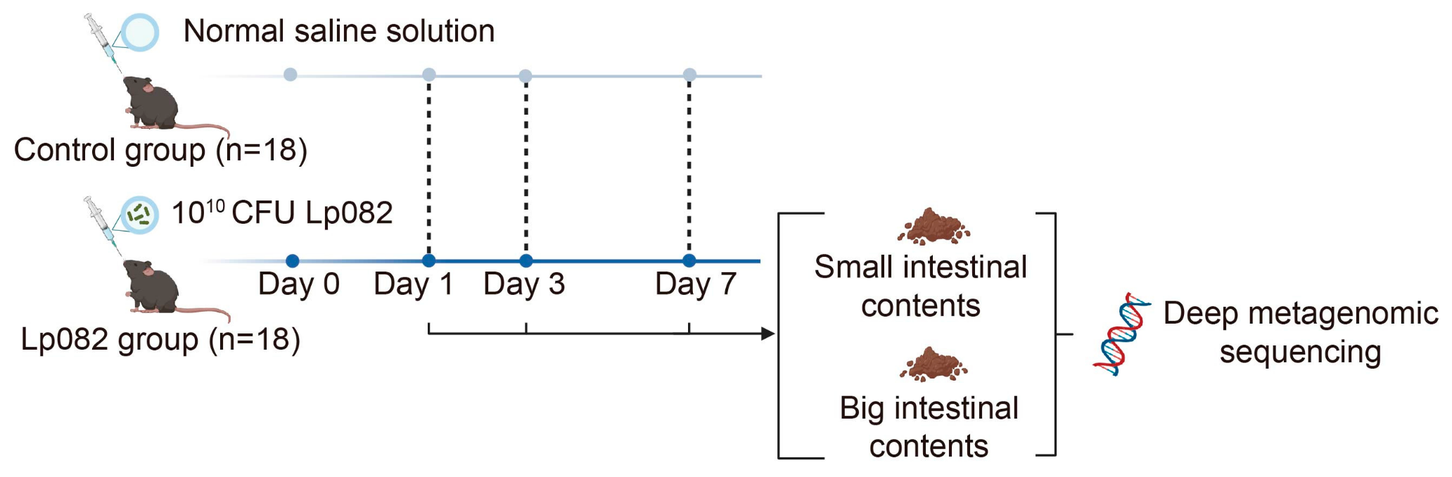 Microorganisms 13 00731 g001