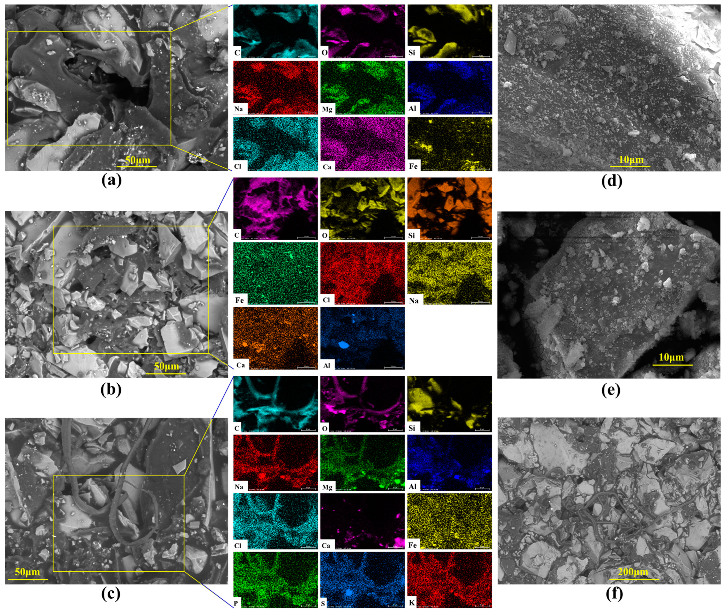 Microorganisms 13 00738 g005