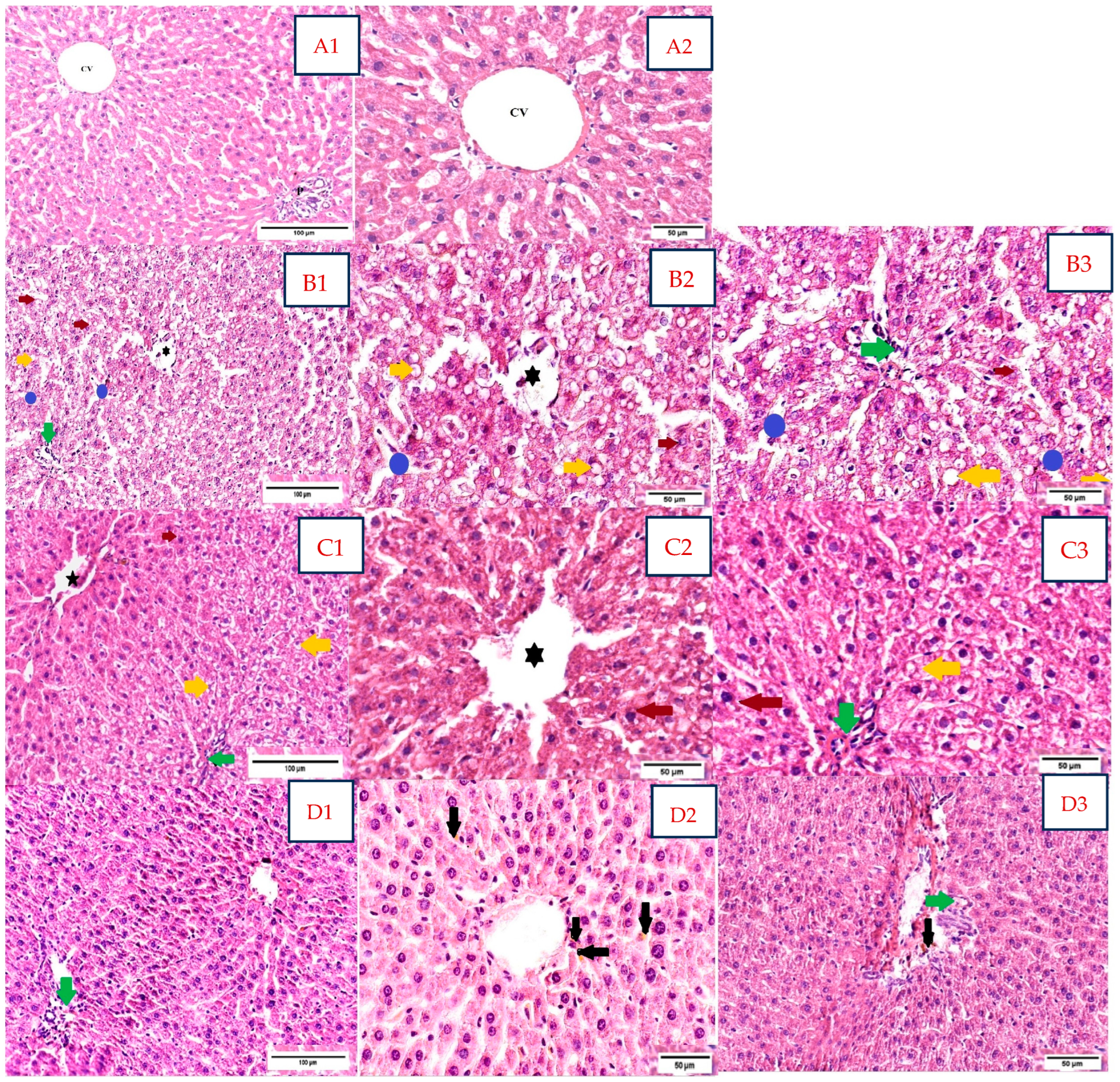Microorganisms 13 00739 g004