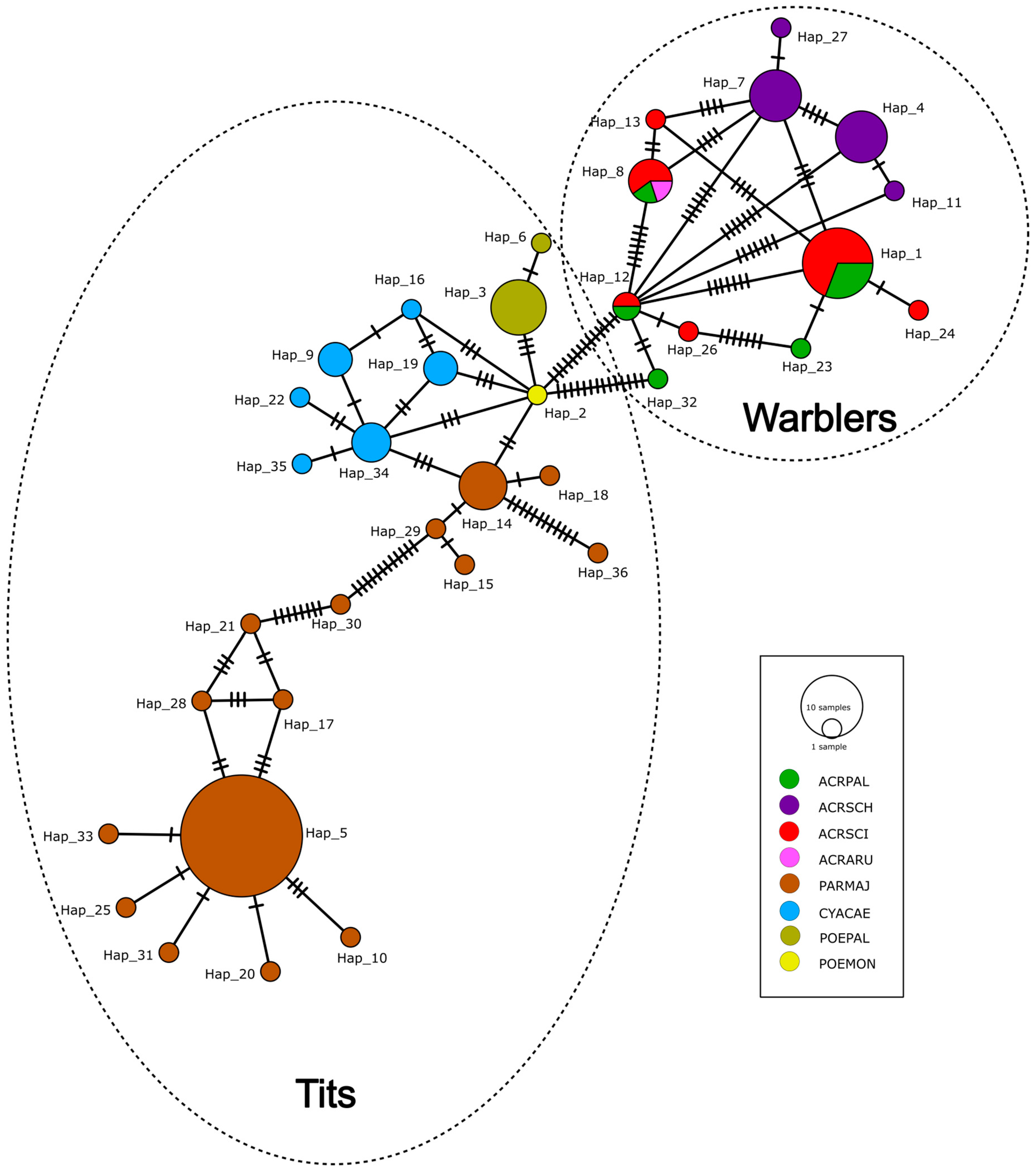 Microorganisms 13 00743 g001