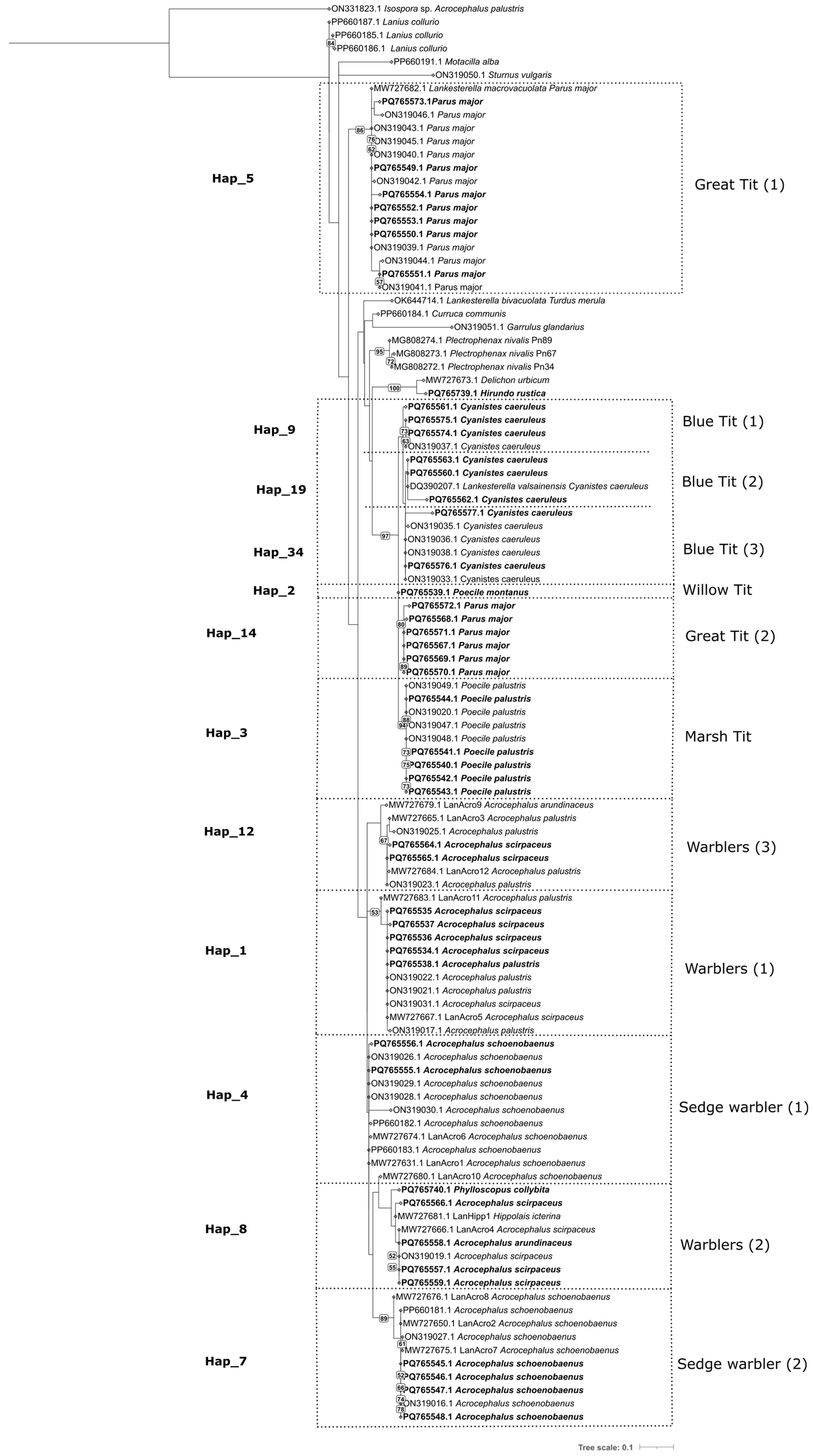 Microorganisms 13 00743 g003