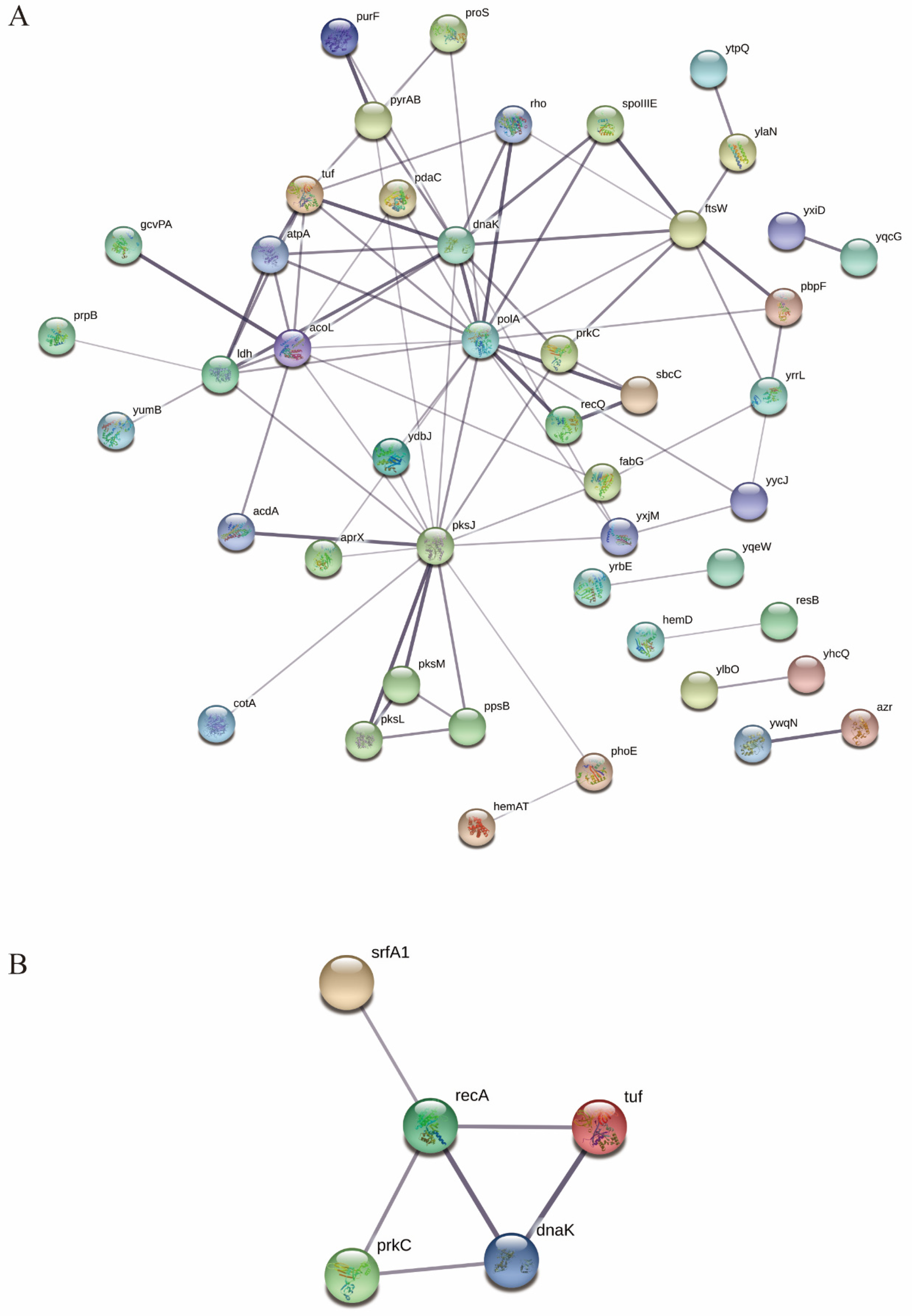 Microorganisms 13 00744 g004