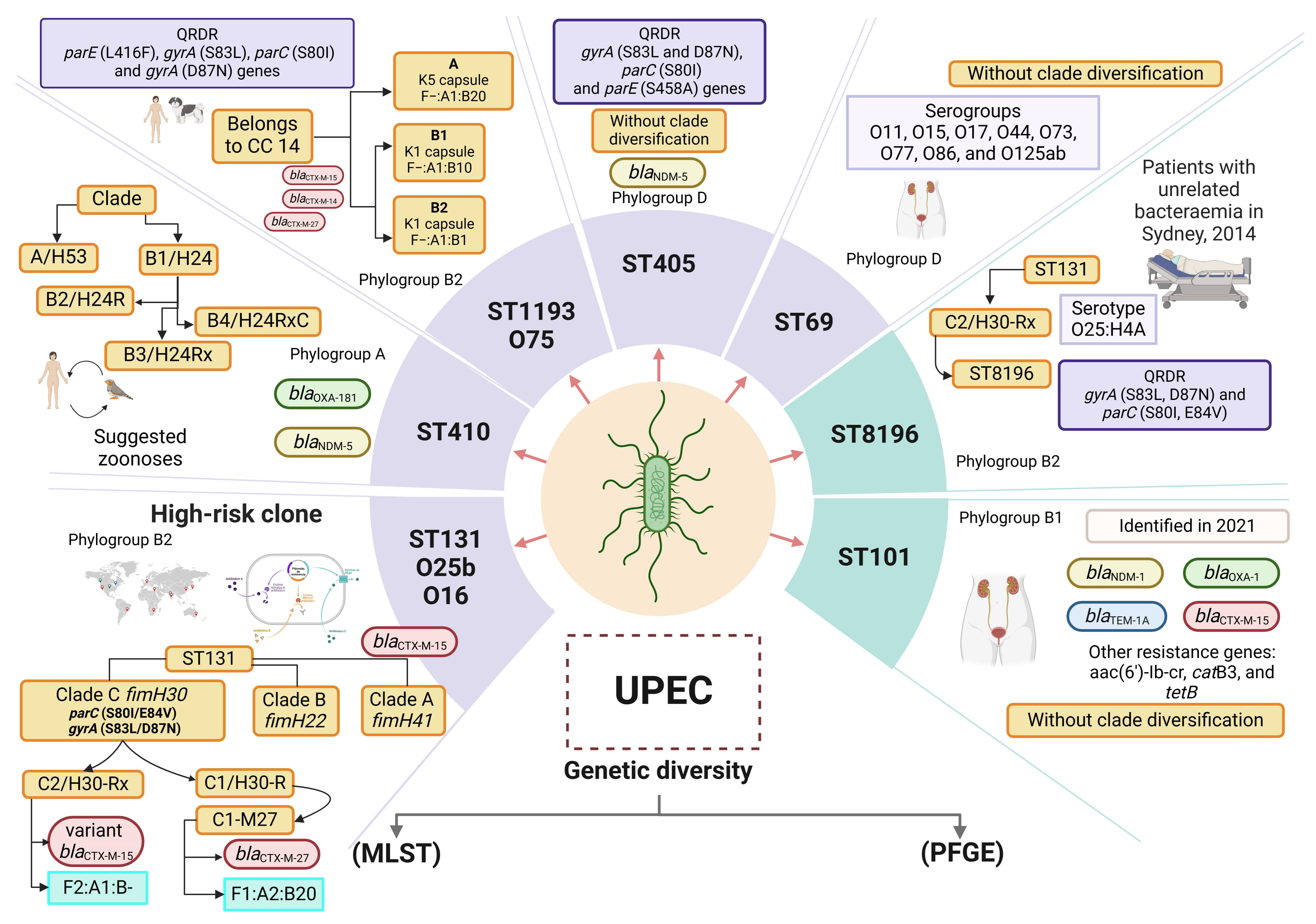 Microorganisms 13 00745 g001