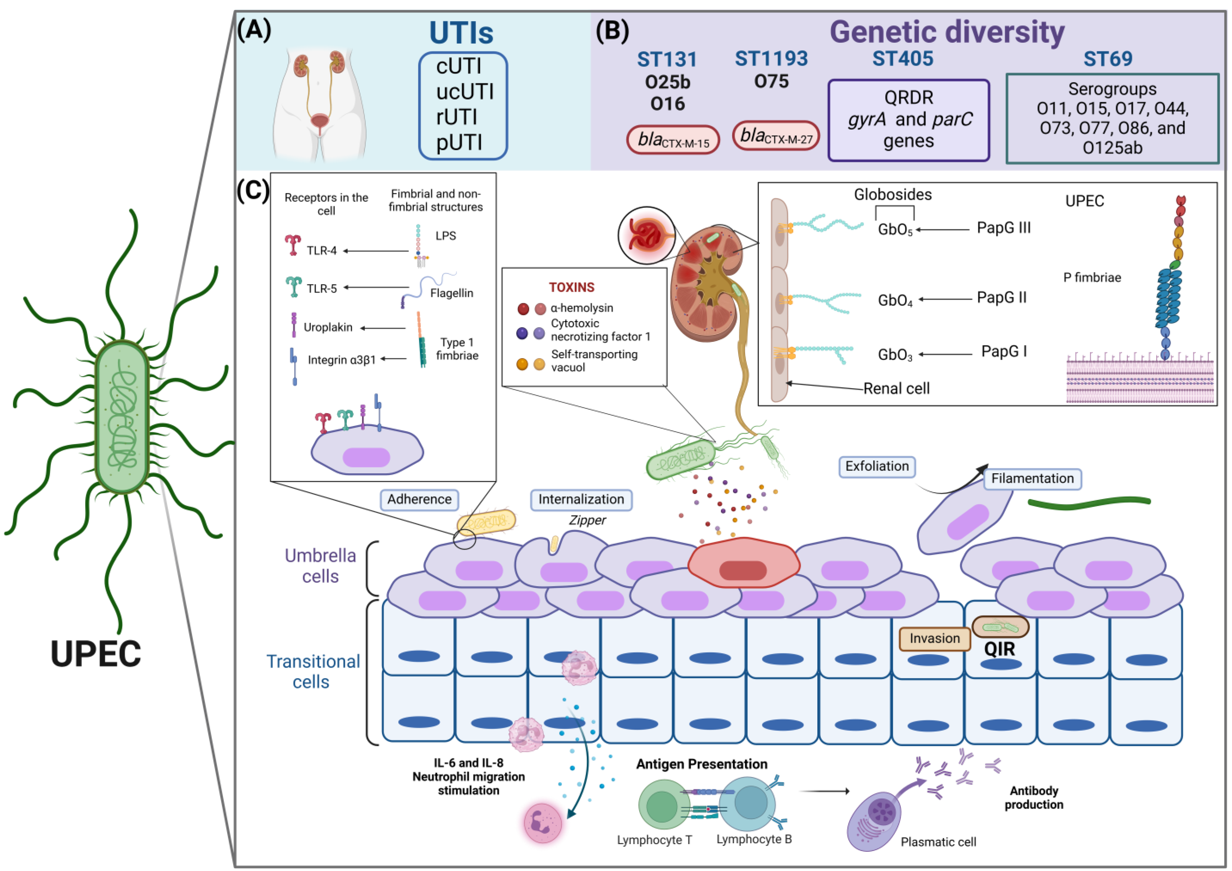 Microorganisms 13 00745 g002
