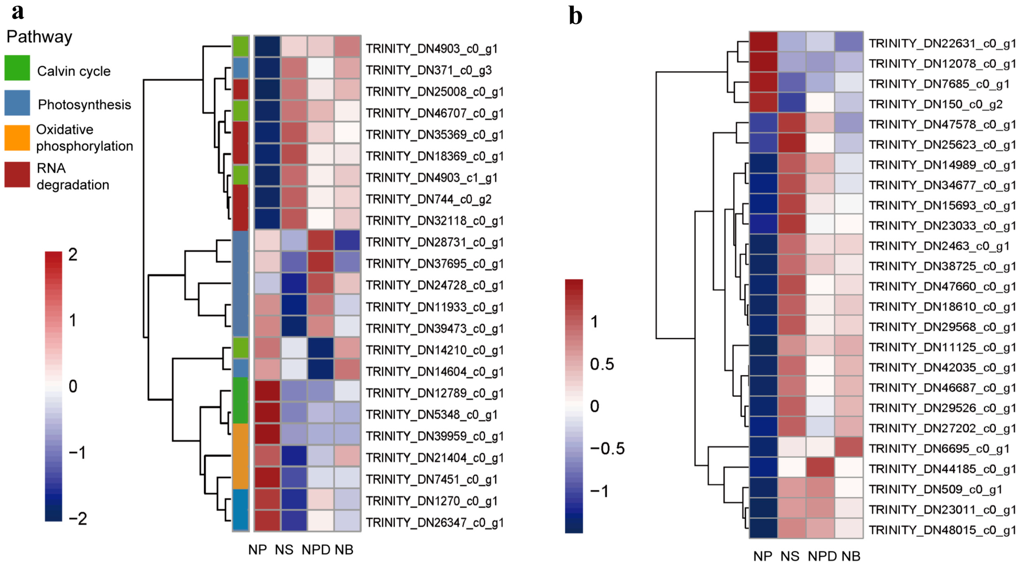 Microorganisms 13 00748 g002
