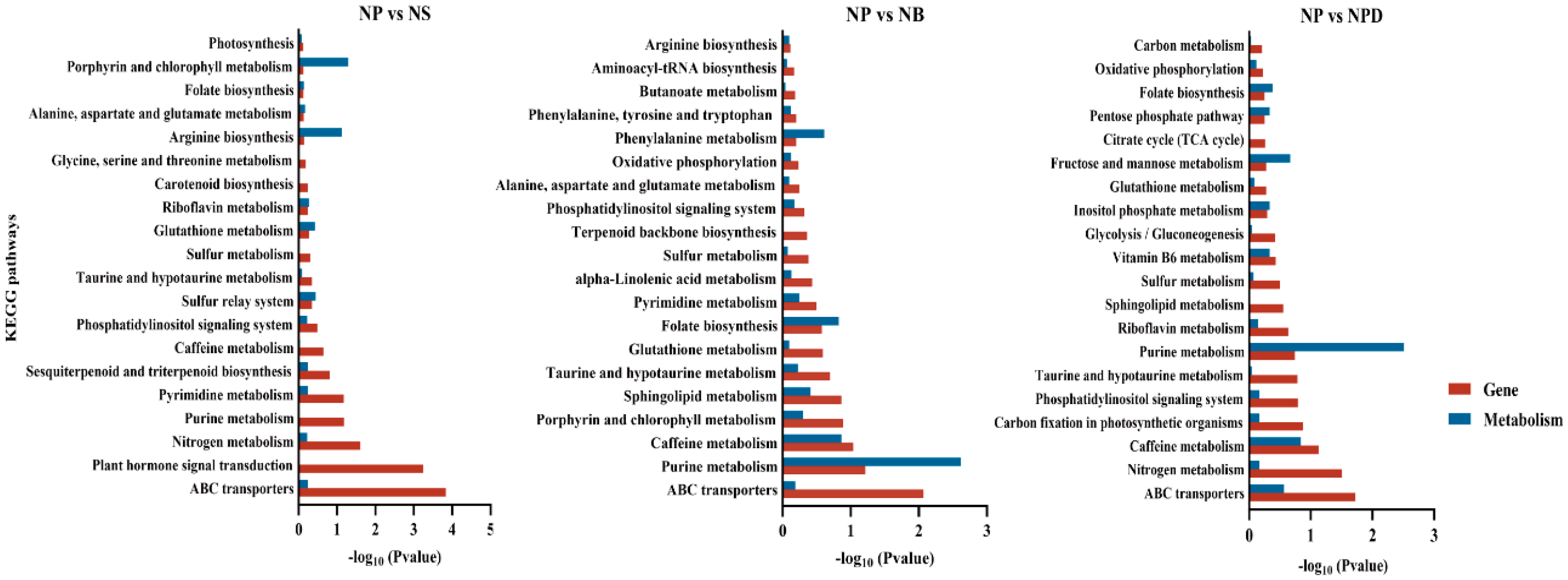 Microorganisms 13 00748 g004