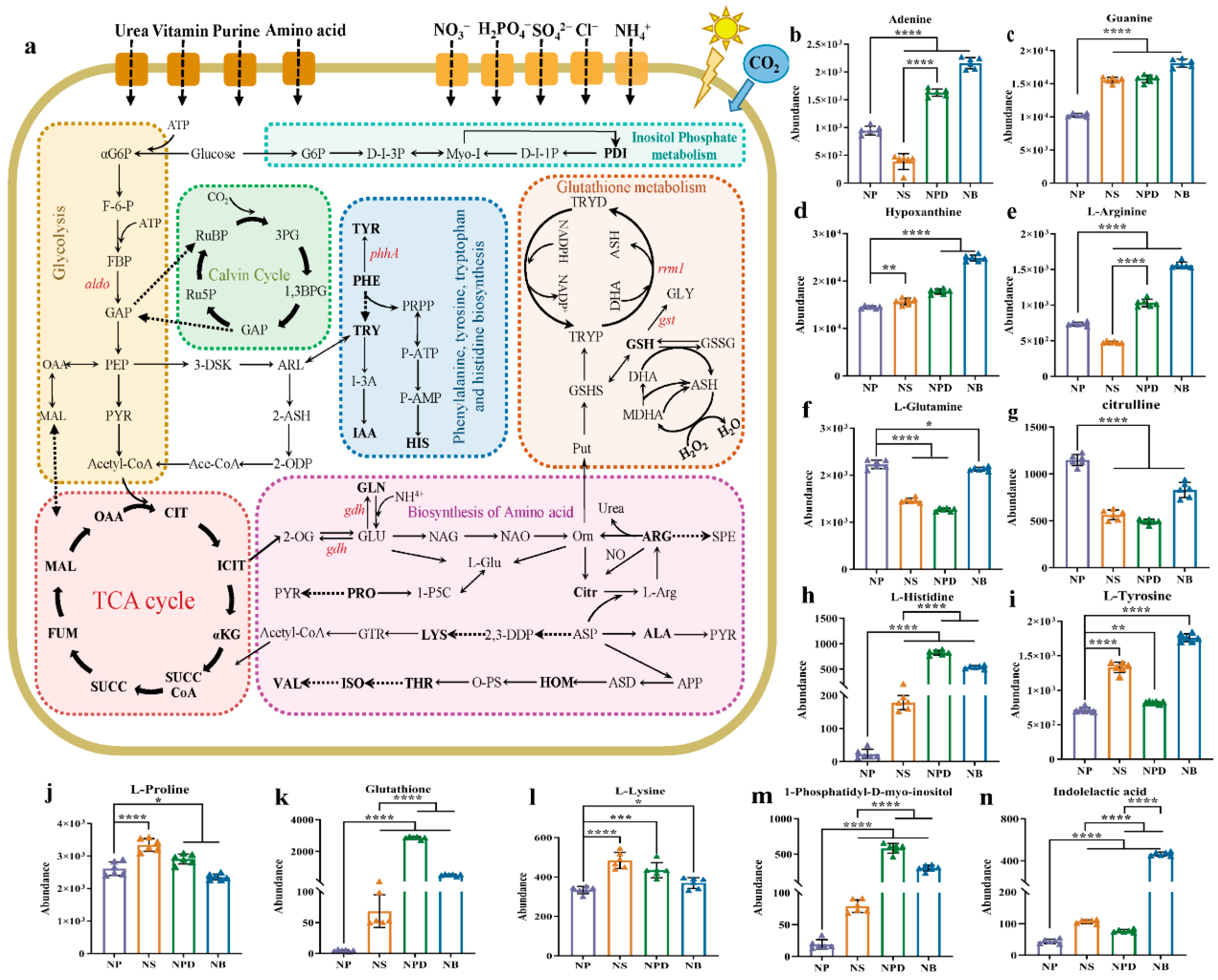 Microorganisms 13 00748 g005