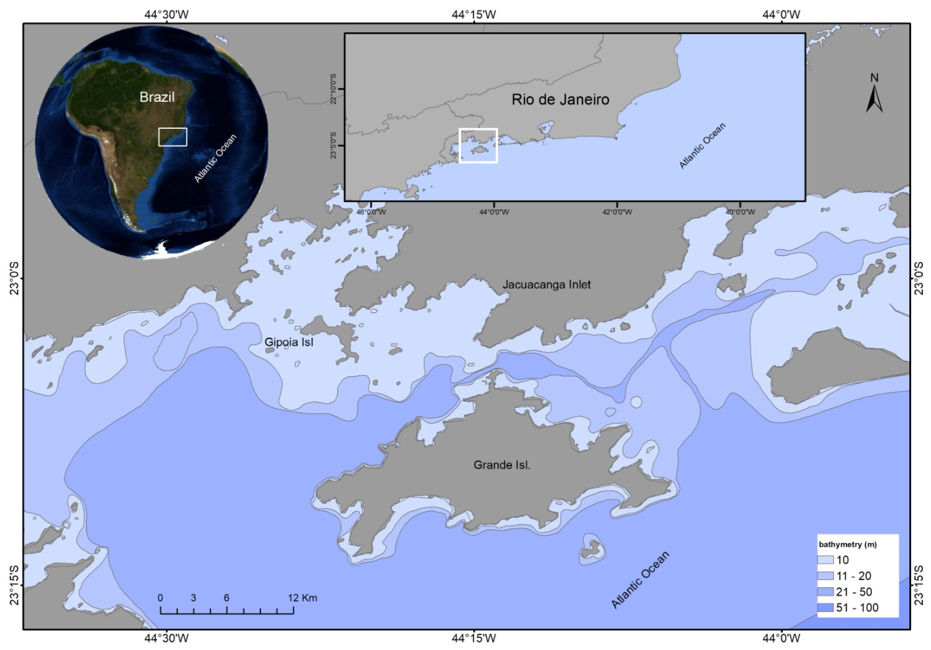 Microorganisms 13 00752 g001