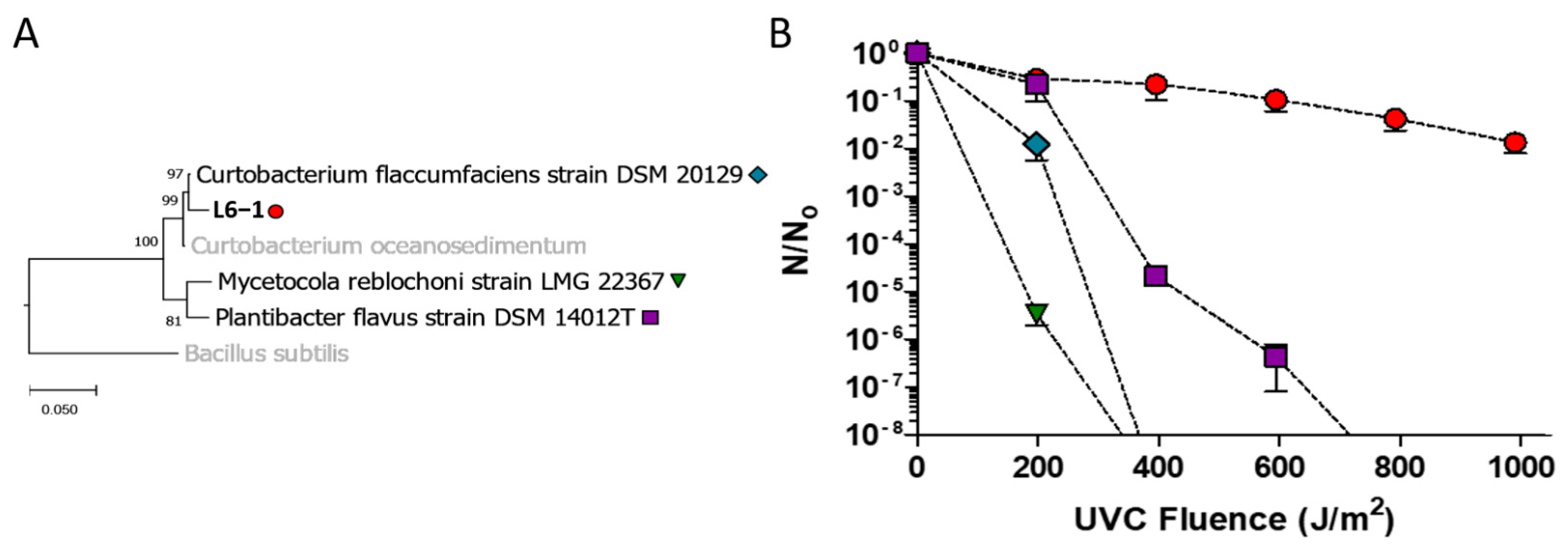 Microorganisms 13 00756 g001 Microorganisms 13 00756 g001
