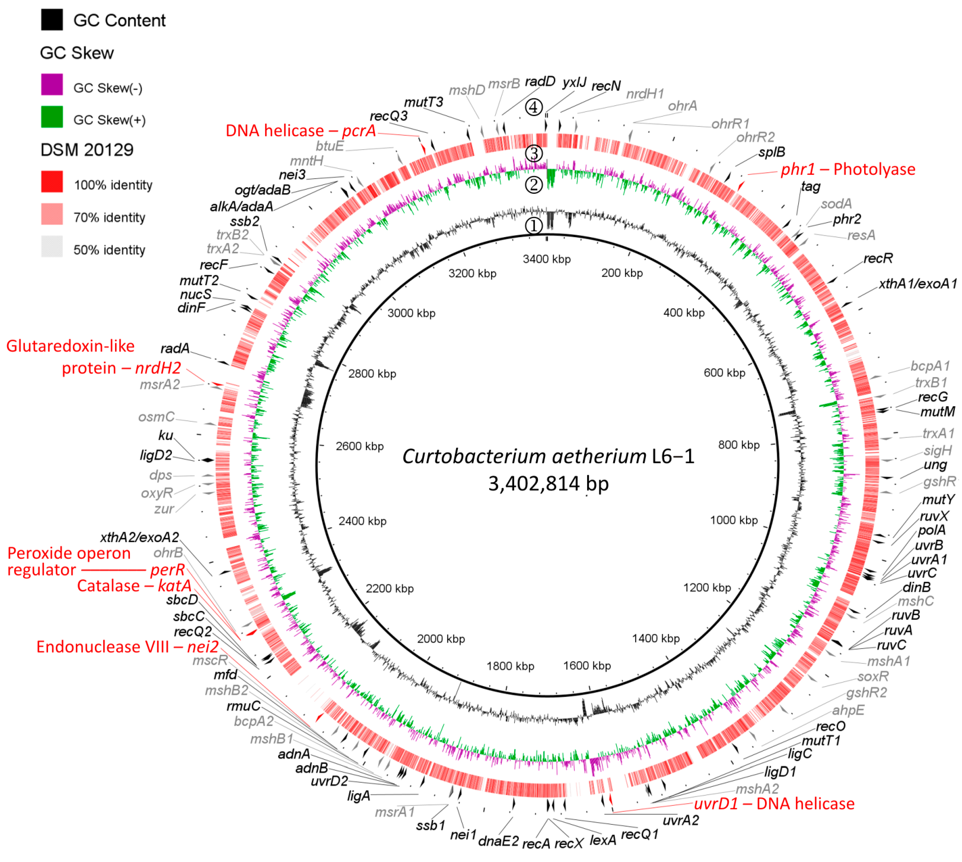Microorganisms 13 00756 g002 Microorganisms 13 00756 g002