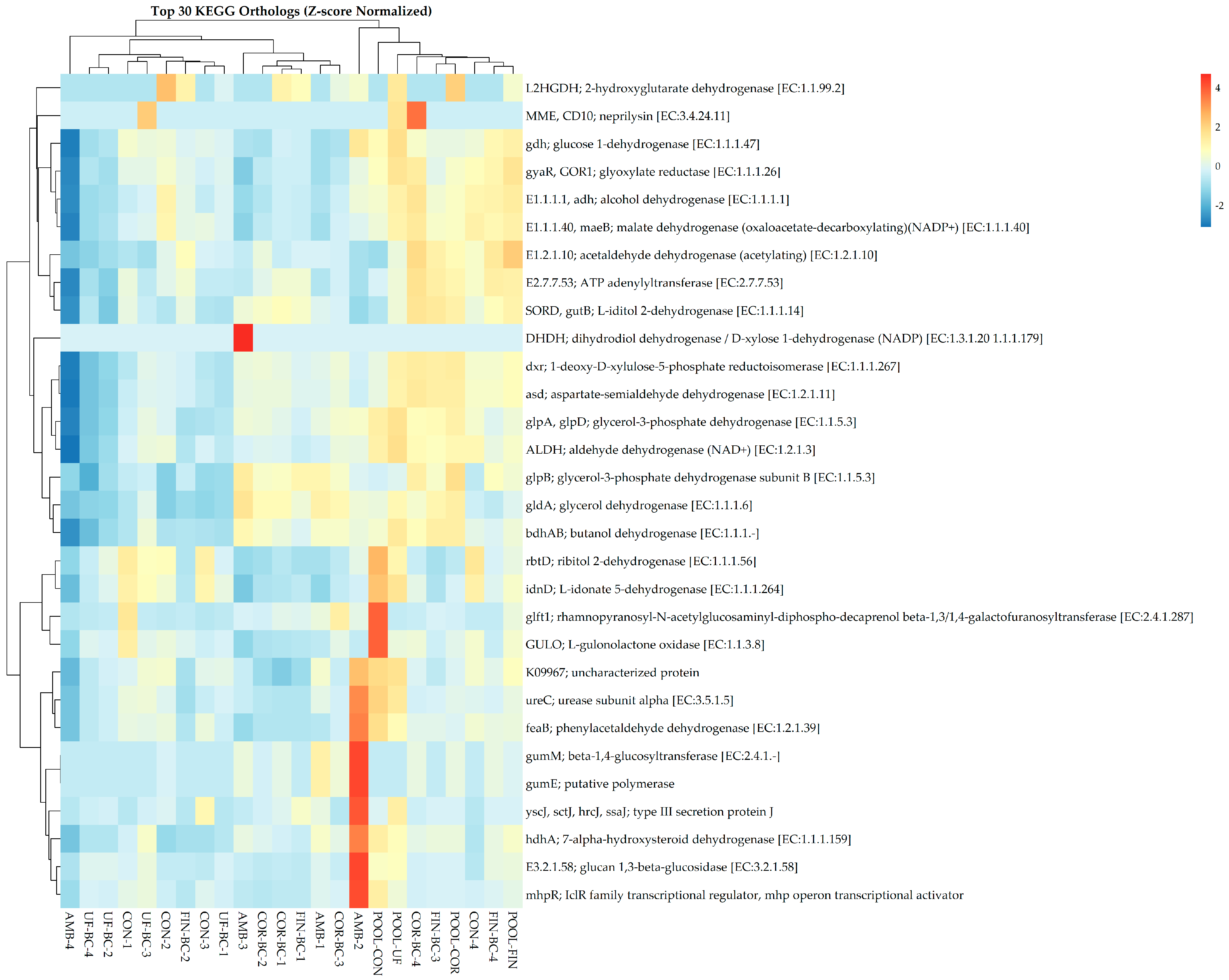 Microorganisms 13 00758 g005