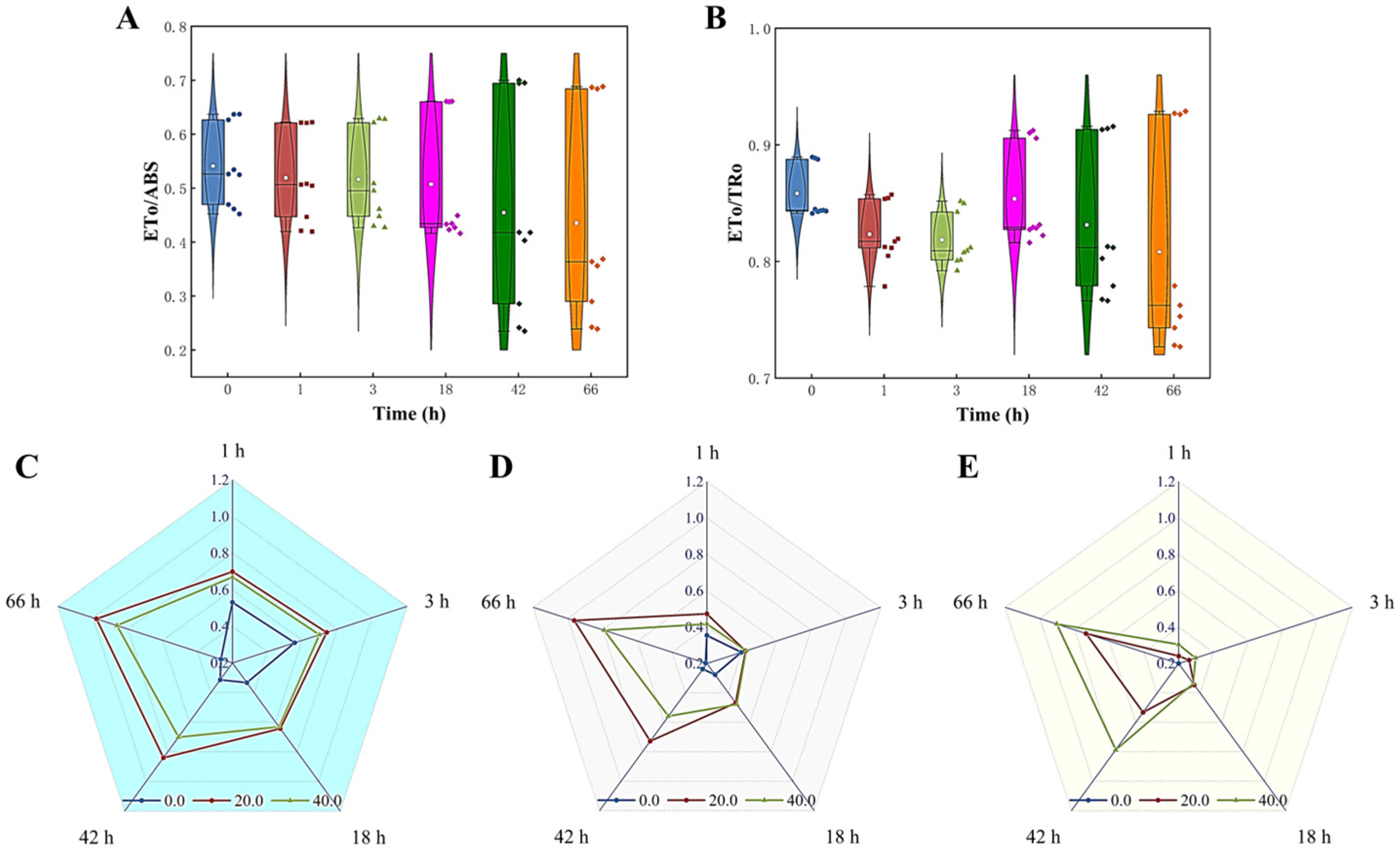 Microorganisms 13 00760 g008