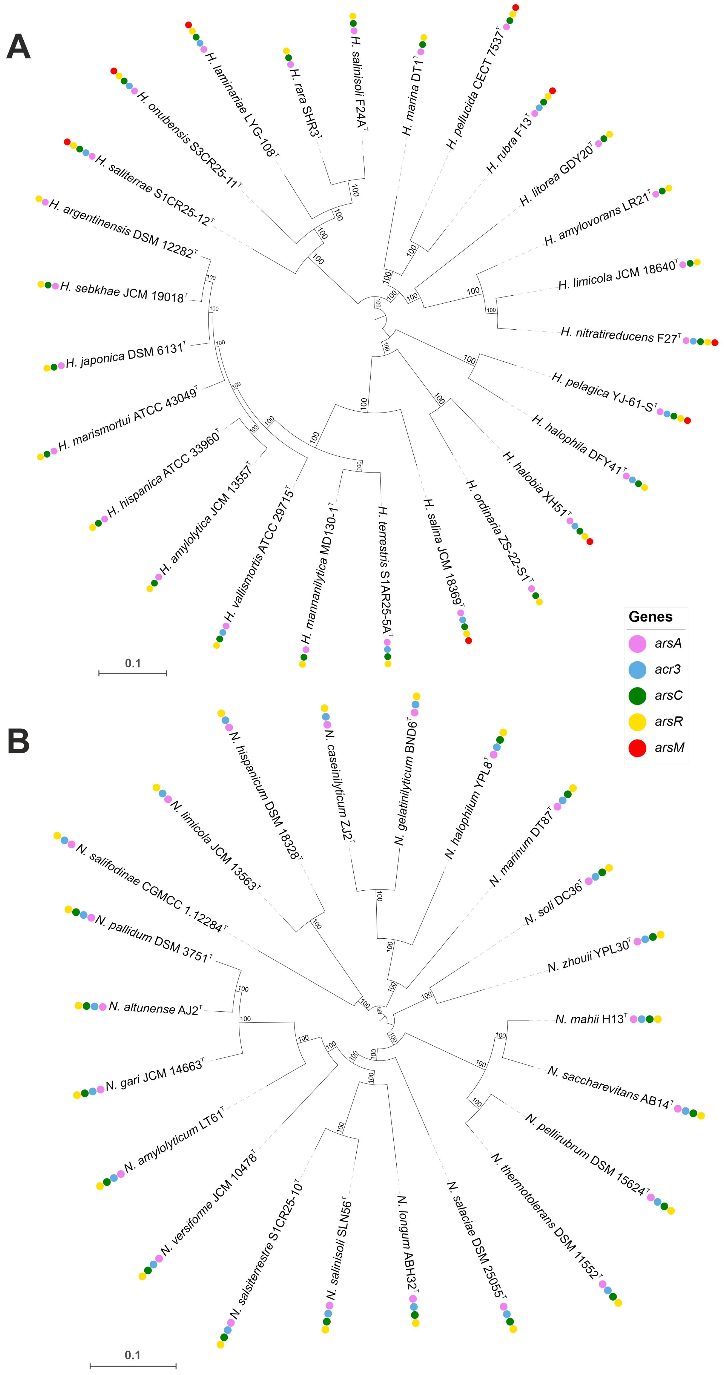 Microorganisms 13 00761 g007