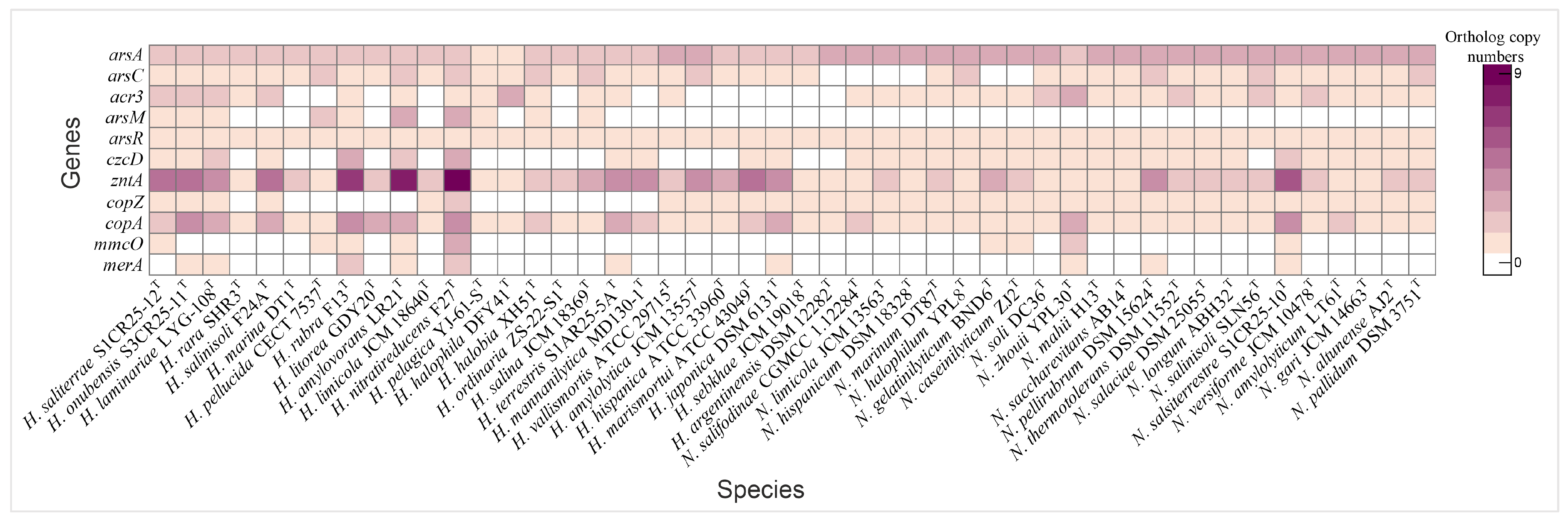 Microorganisms 13 00761 g008