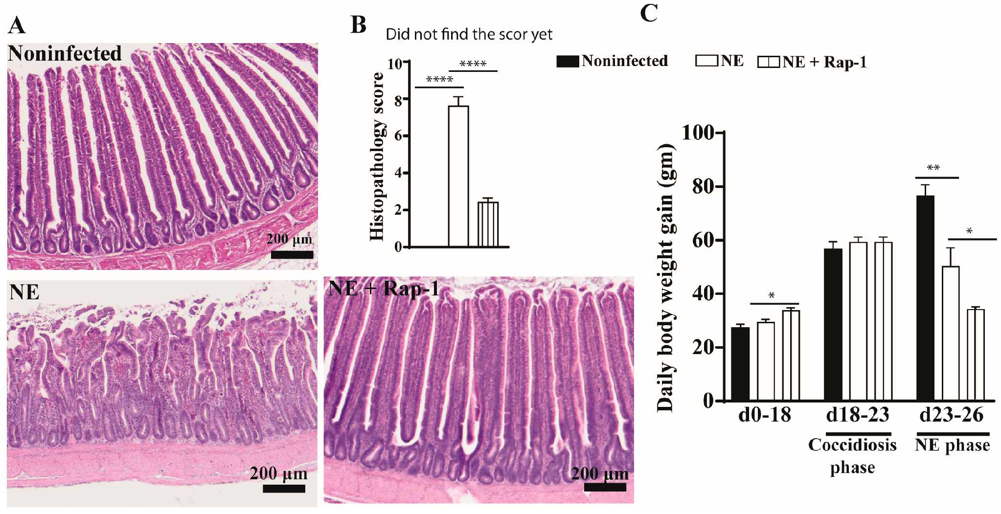 Microorganisms 13 00762 g001