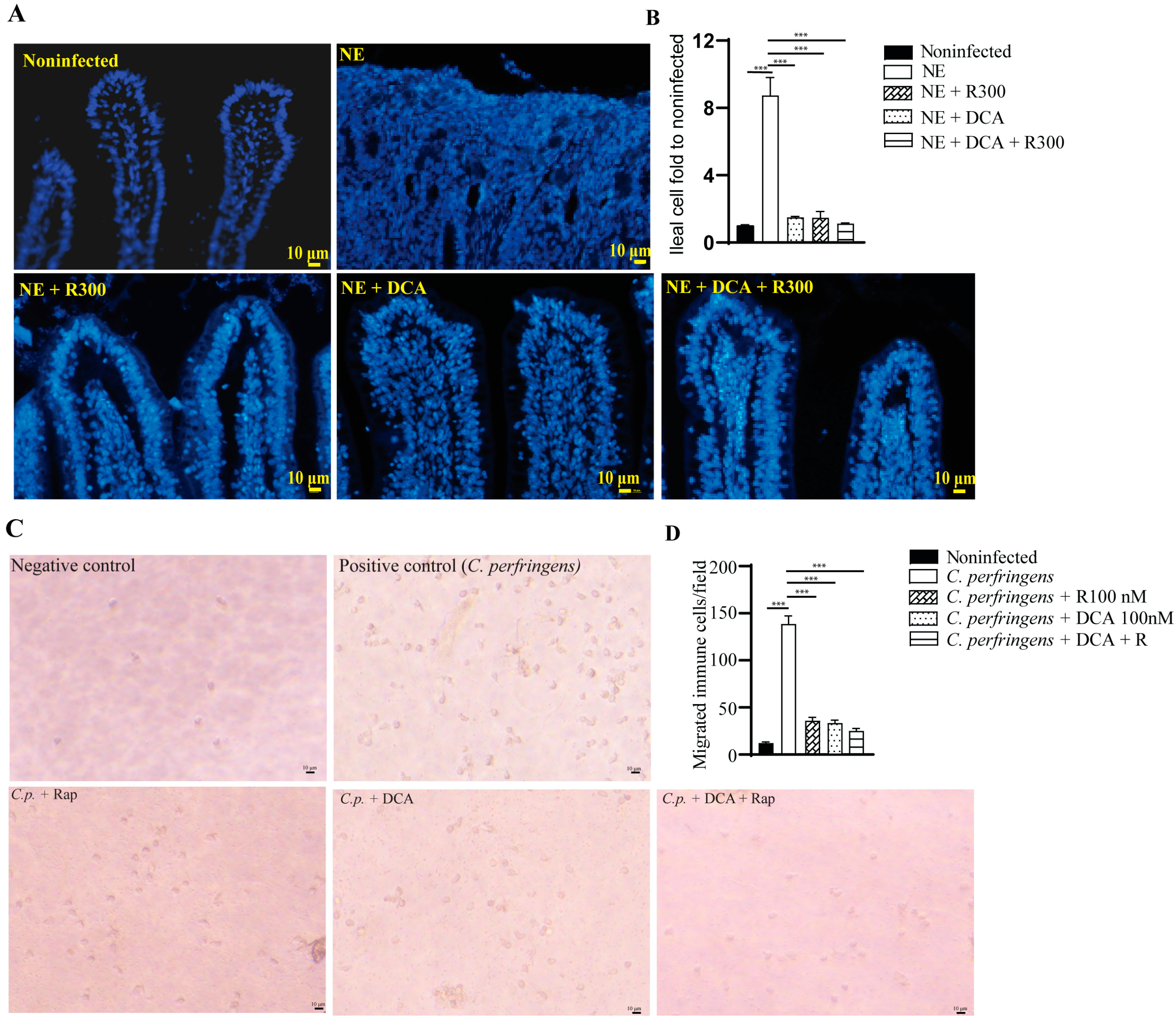 Microorganisms 13 00762 g005
