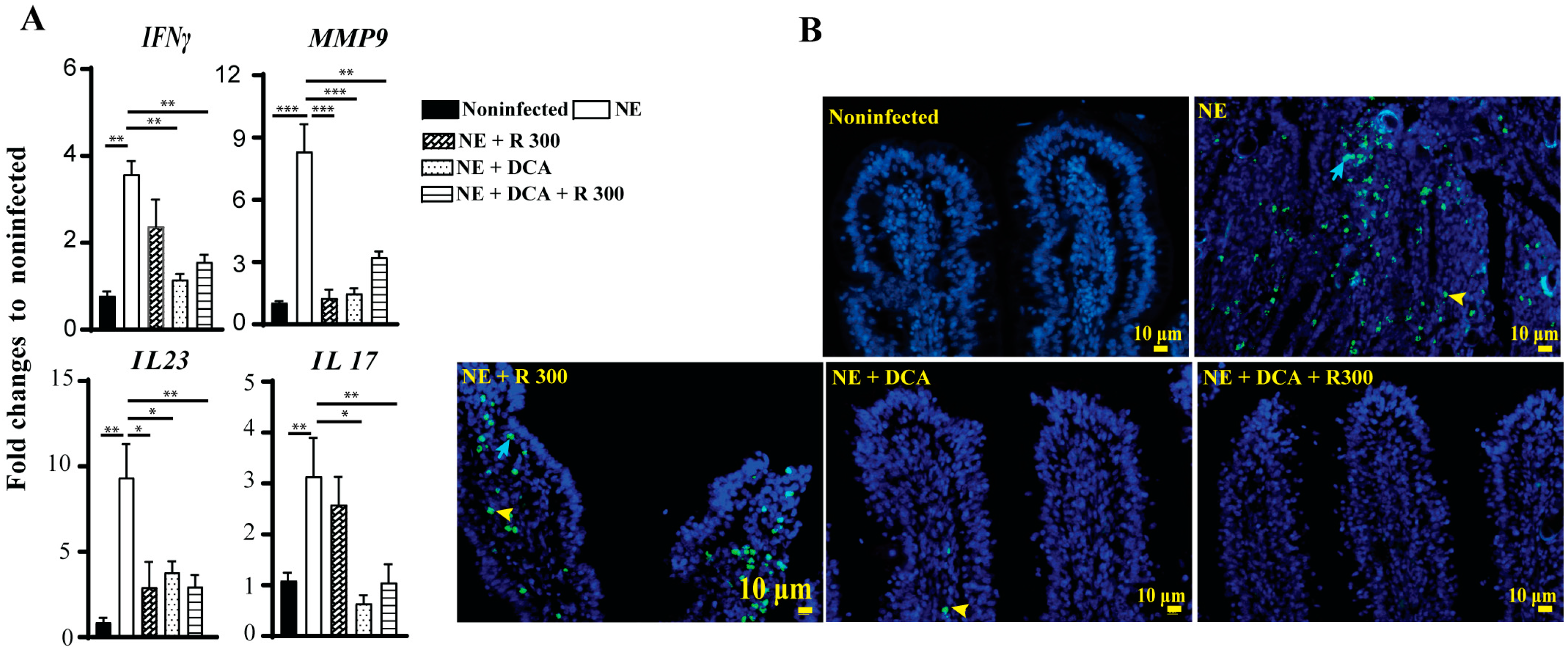 Microorganisms 13 00762 g006
