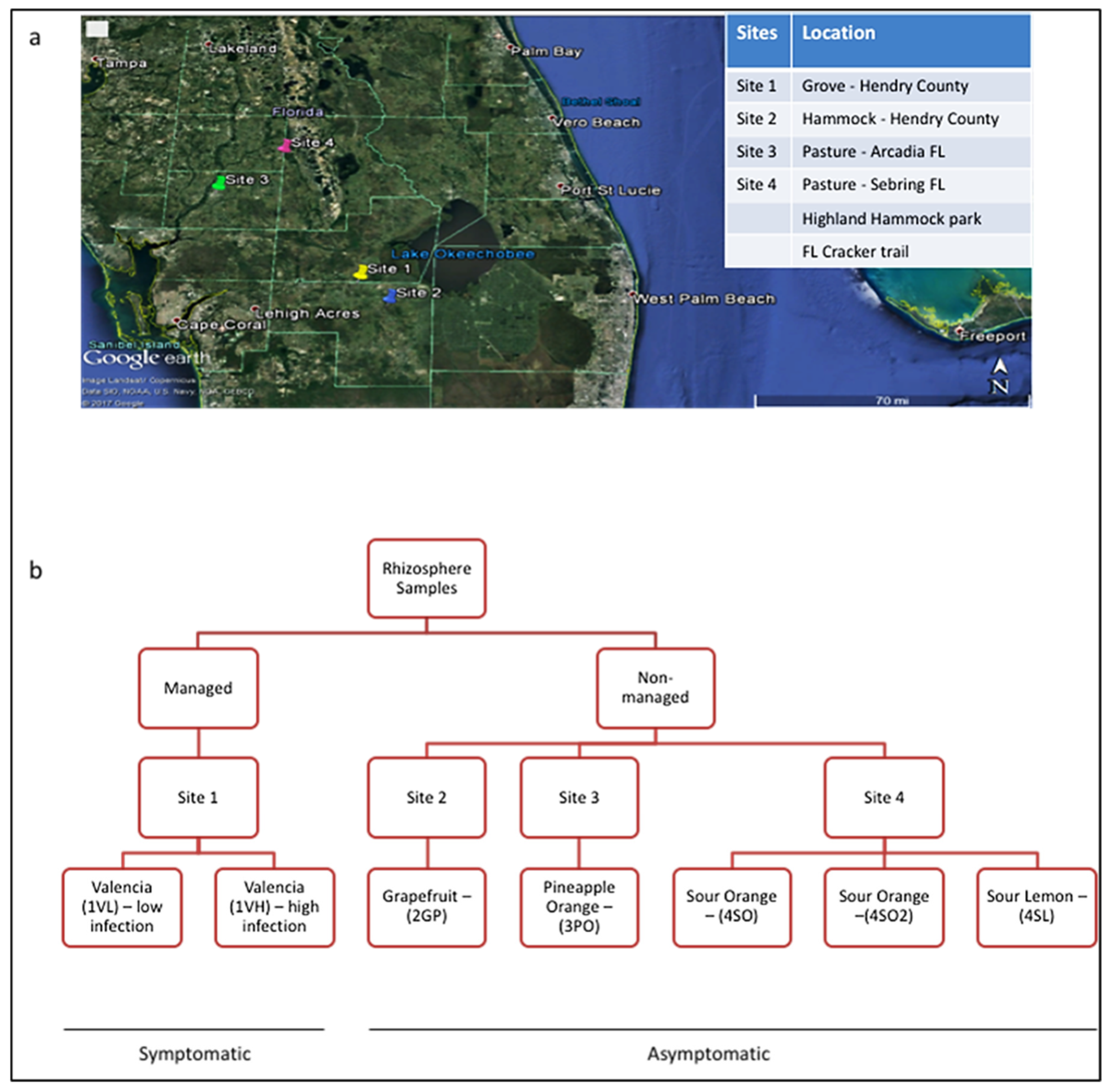 Microorganisms 13 00763 g001