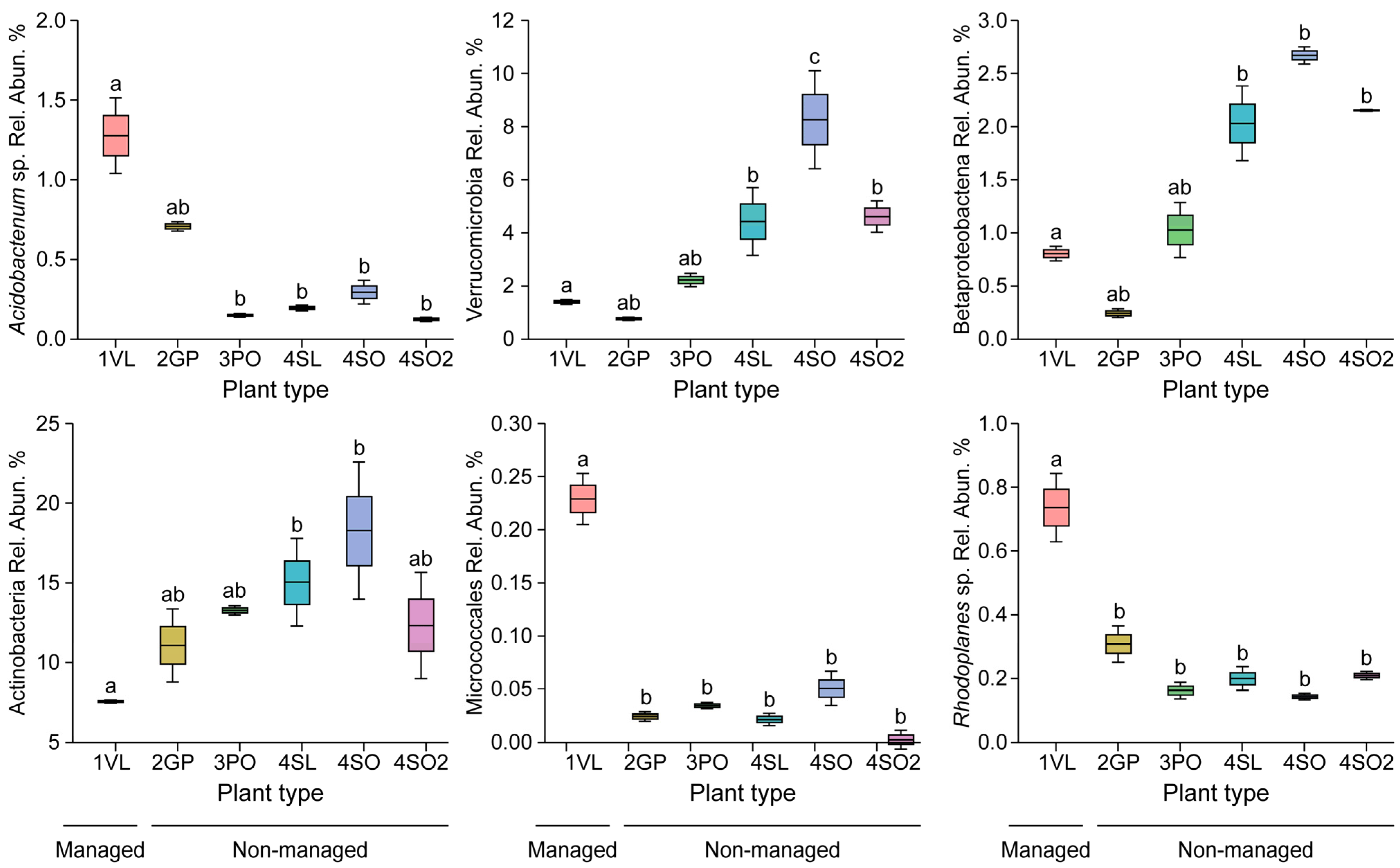 Microorganisms 13 00763 g004