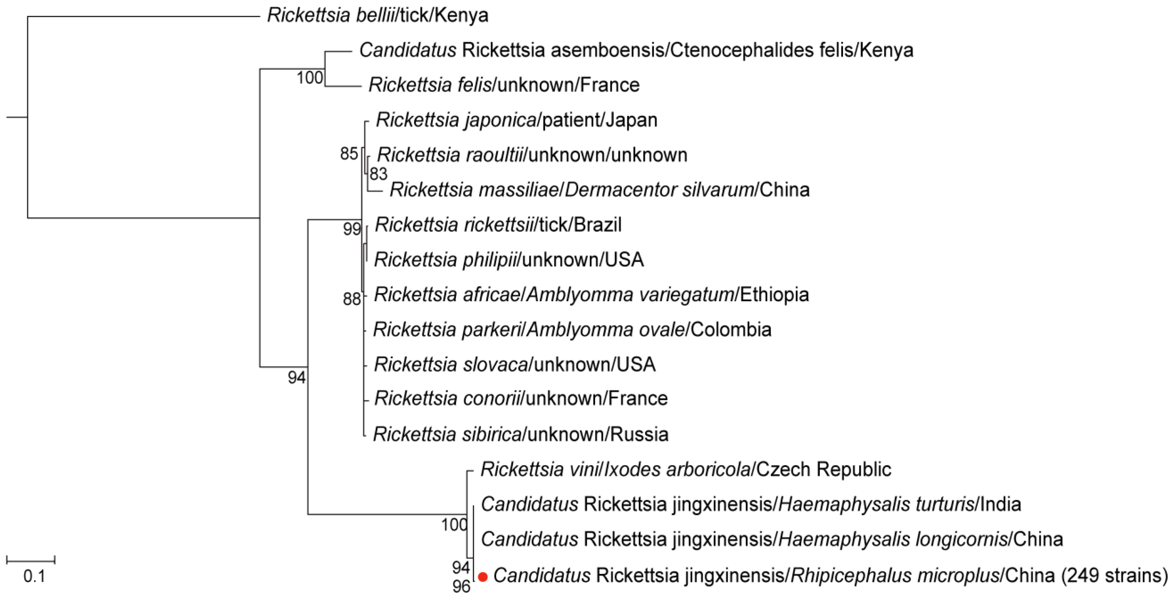 Microorganisms 13 00765 g002
