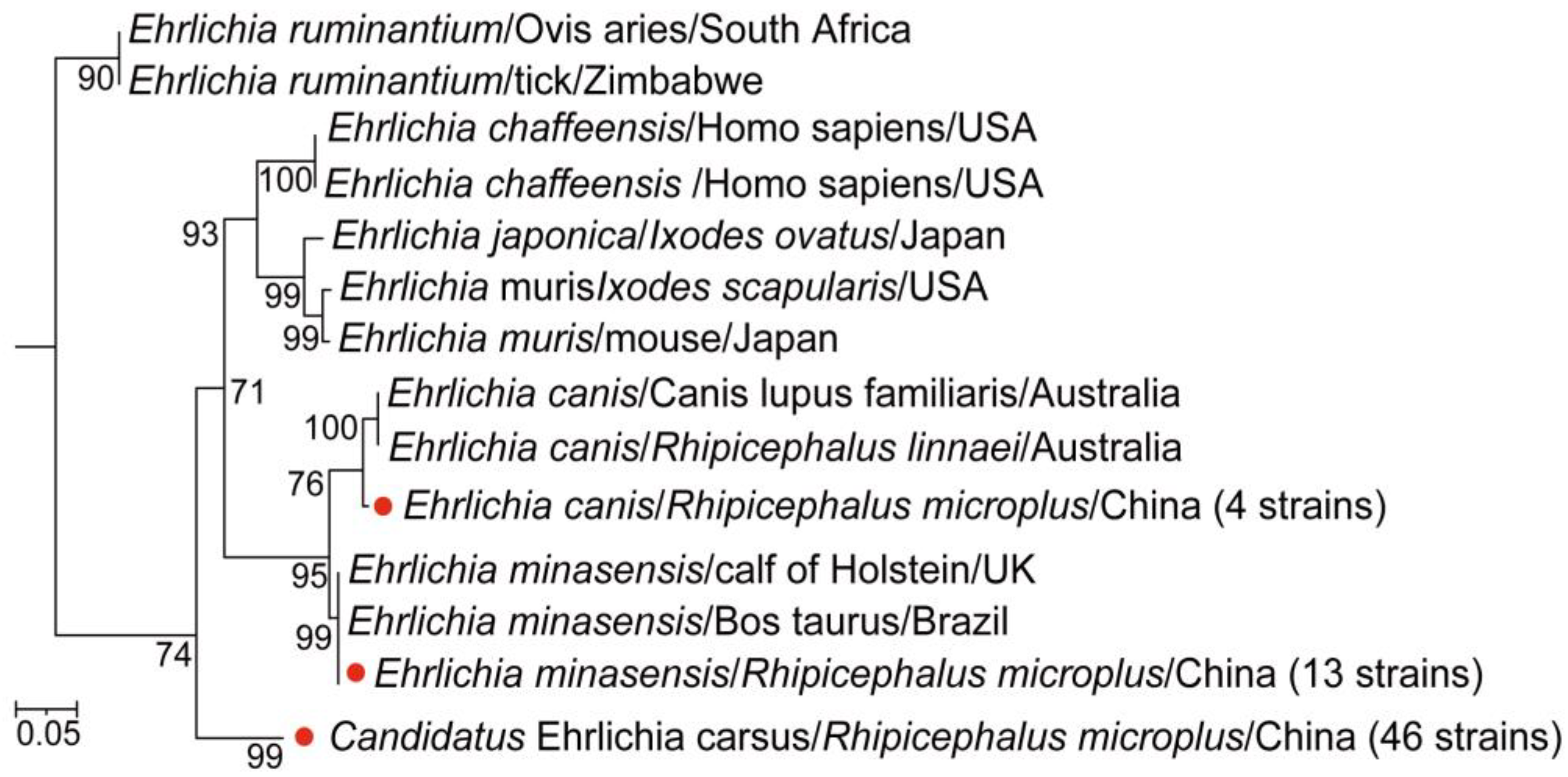 Microorganisms 13 00765 g004