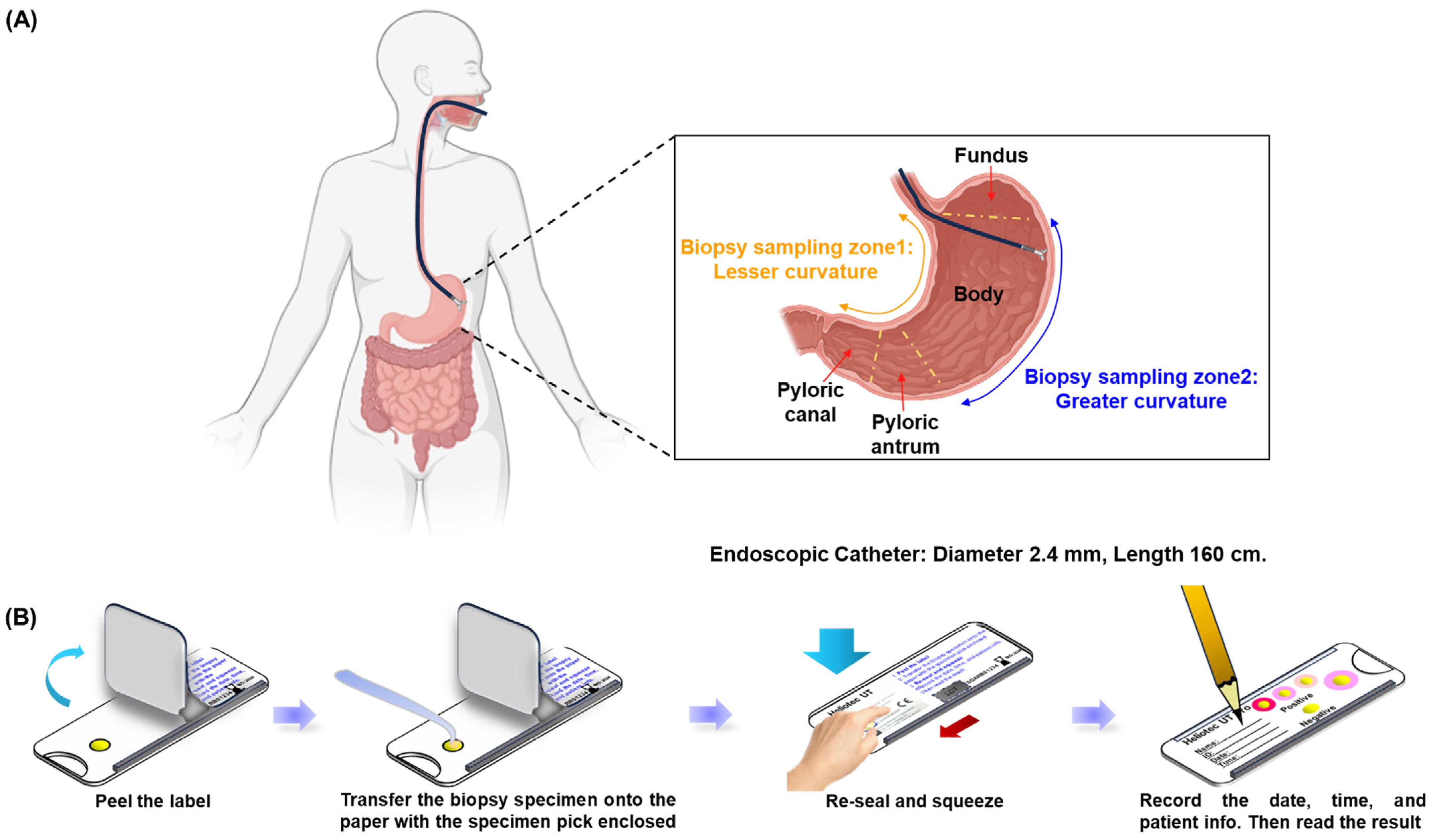 Microorganisms 13 00767 g001